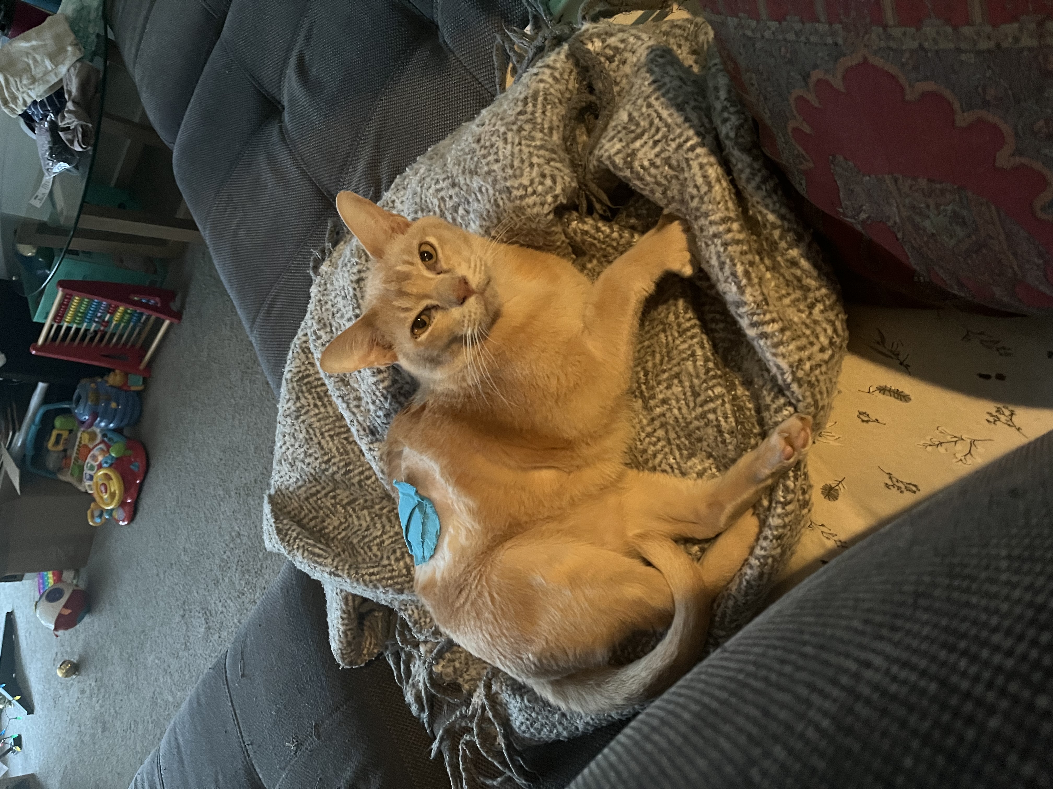 image-28