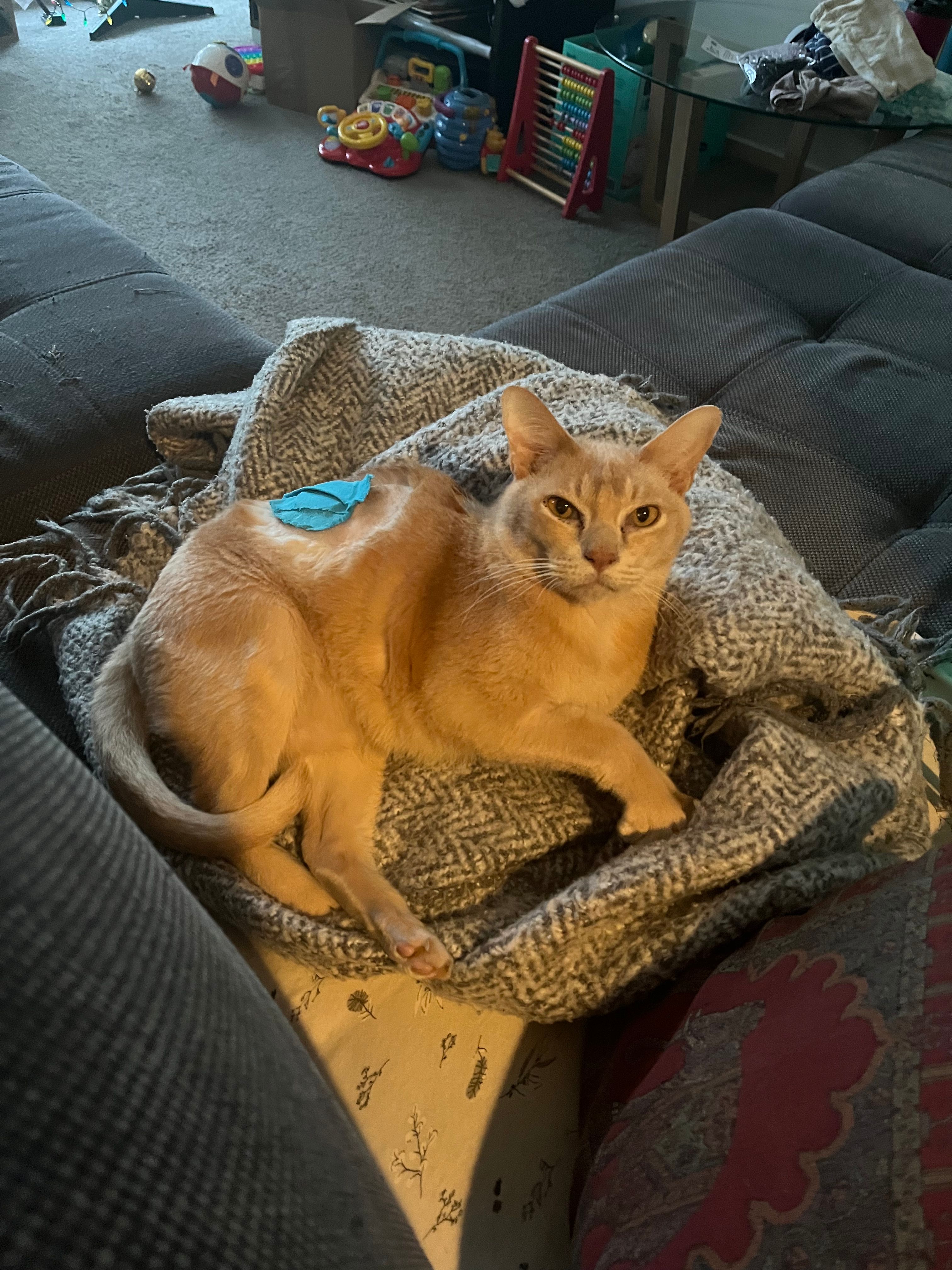 image-28