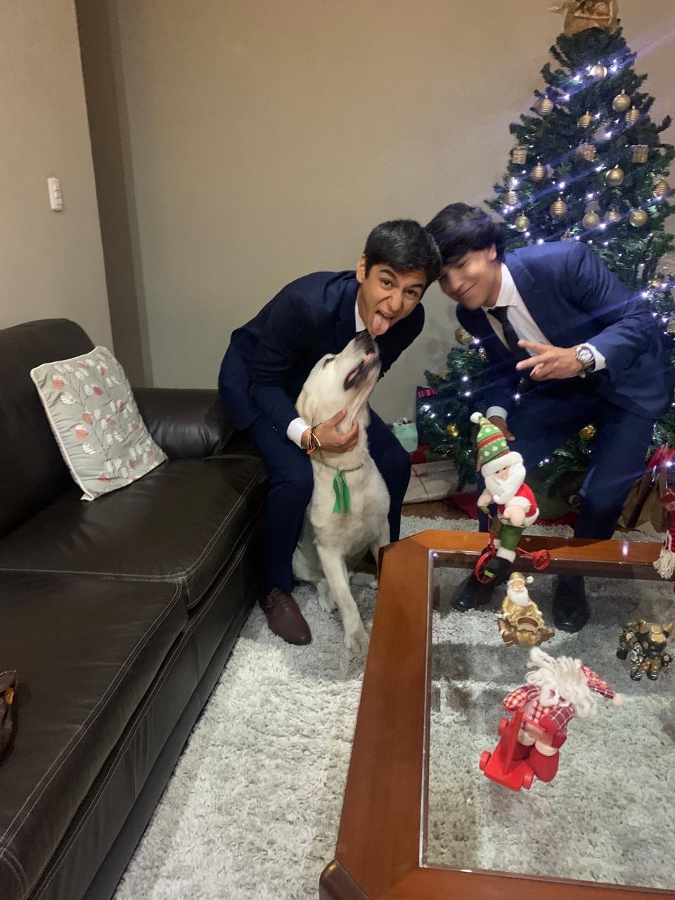 image-11