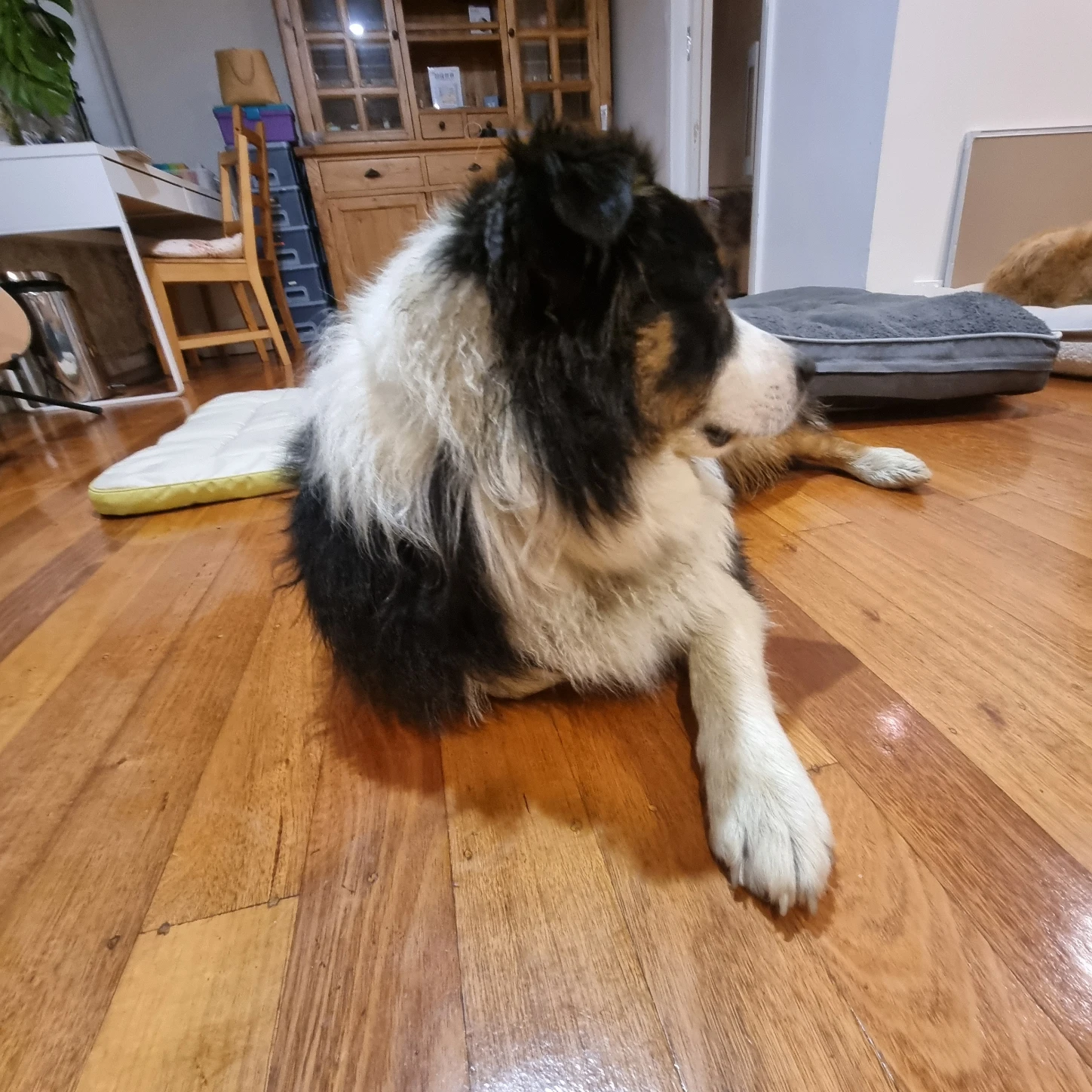 image-17