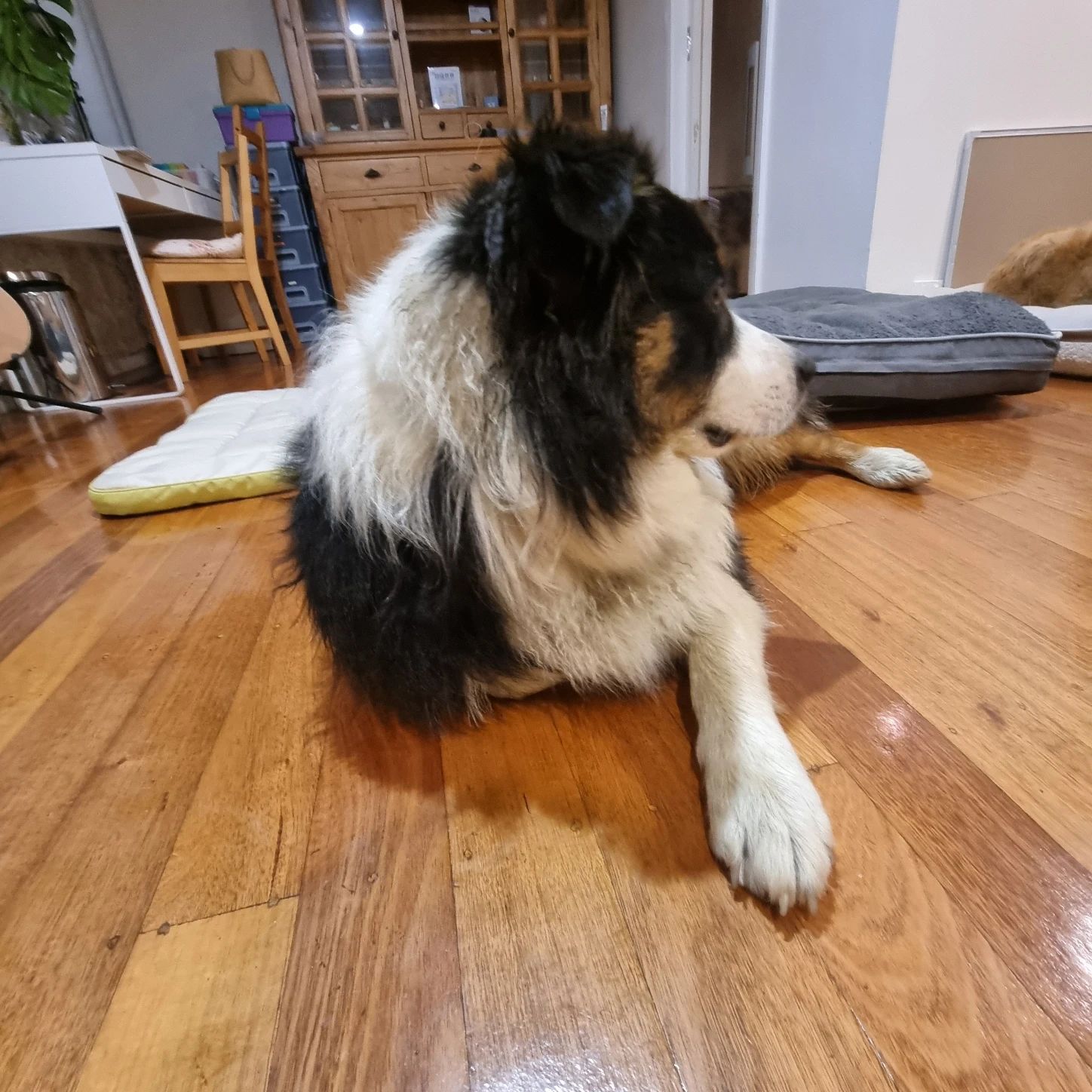 image-17