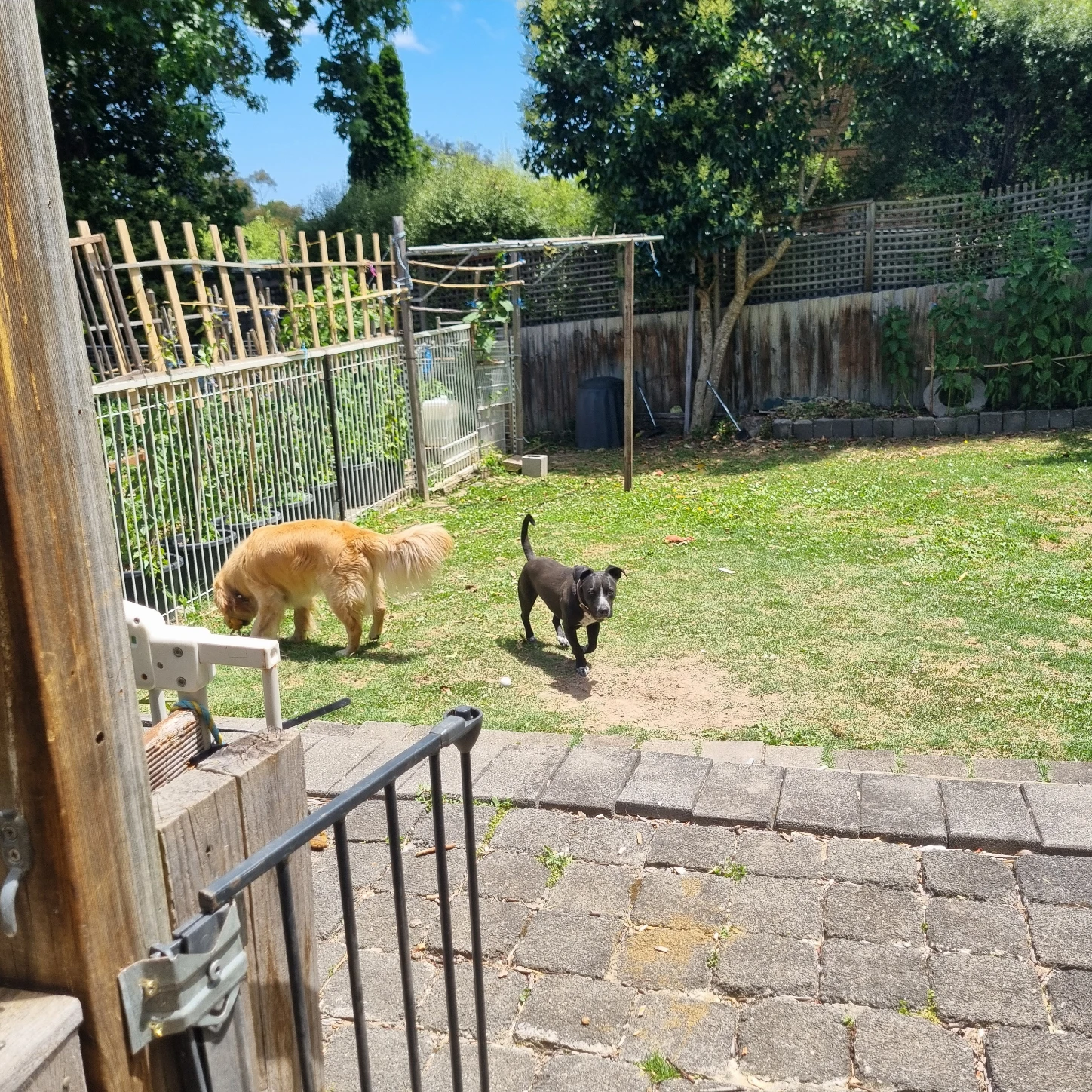 image-11
