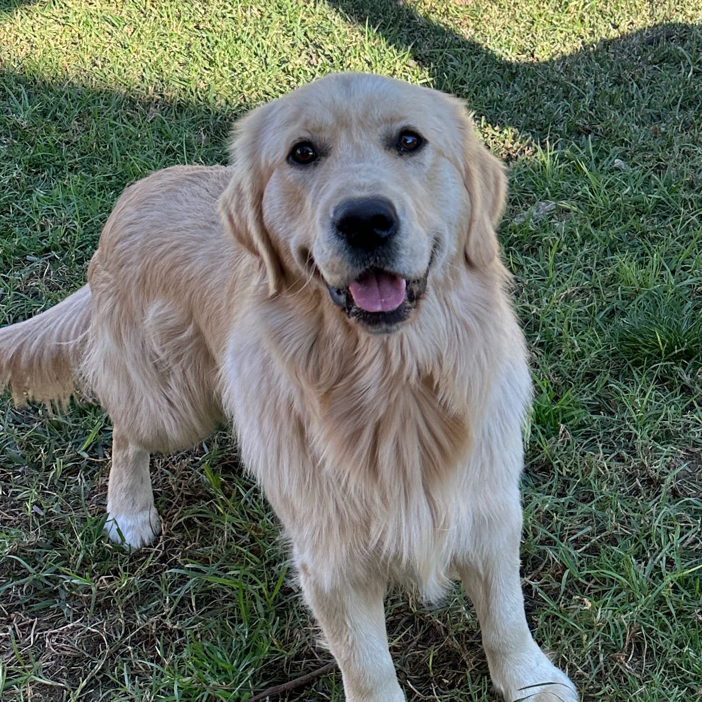 Ralph
