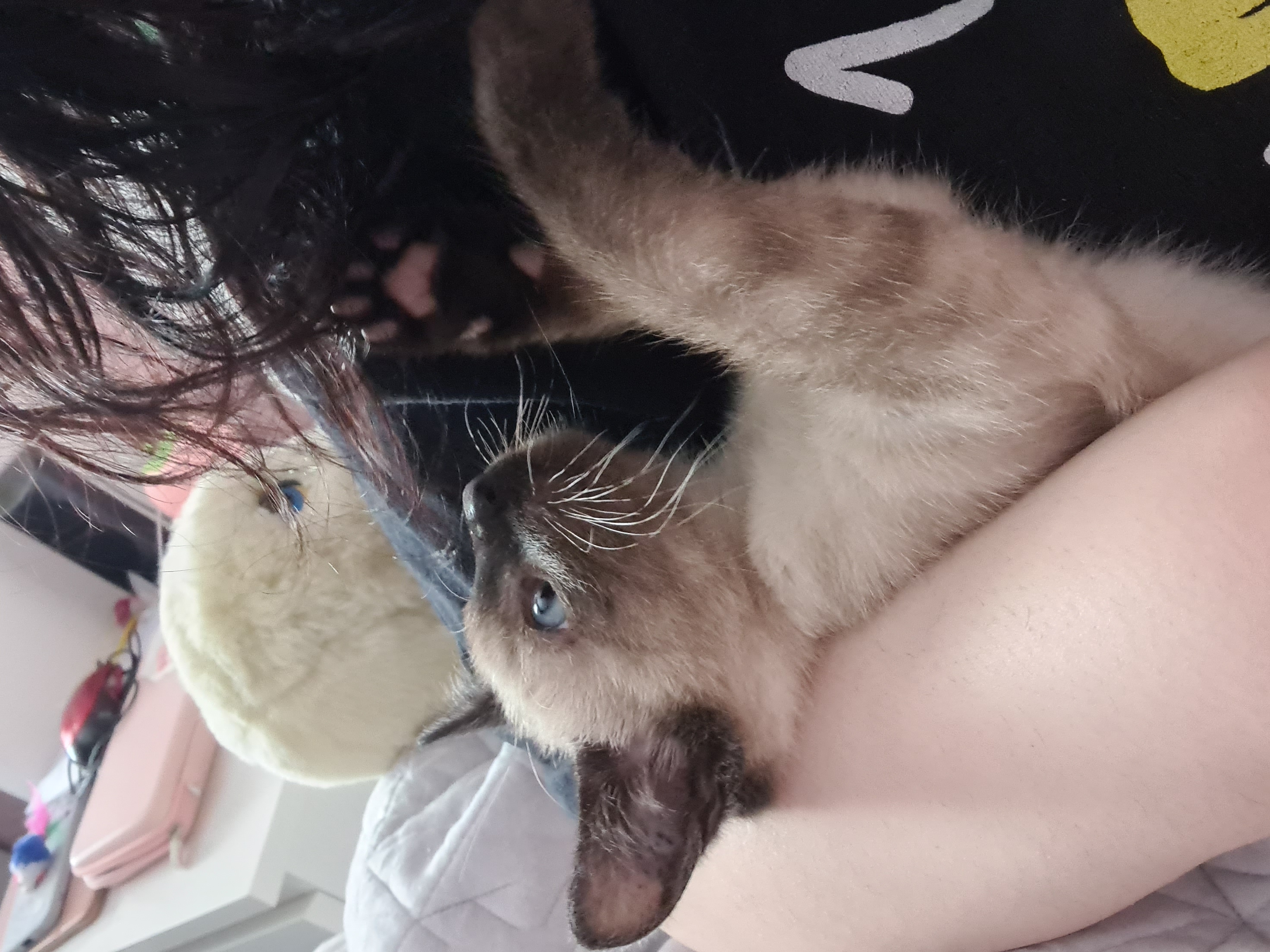 image-6