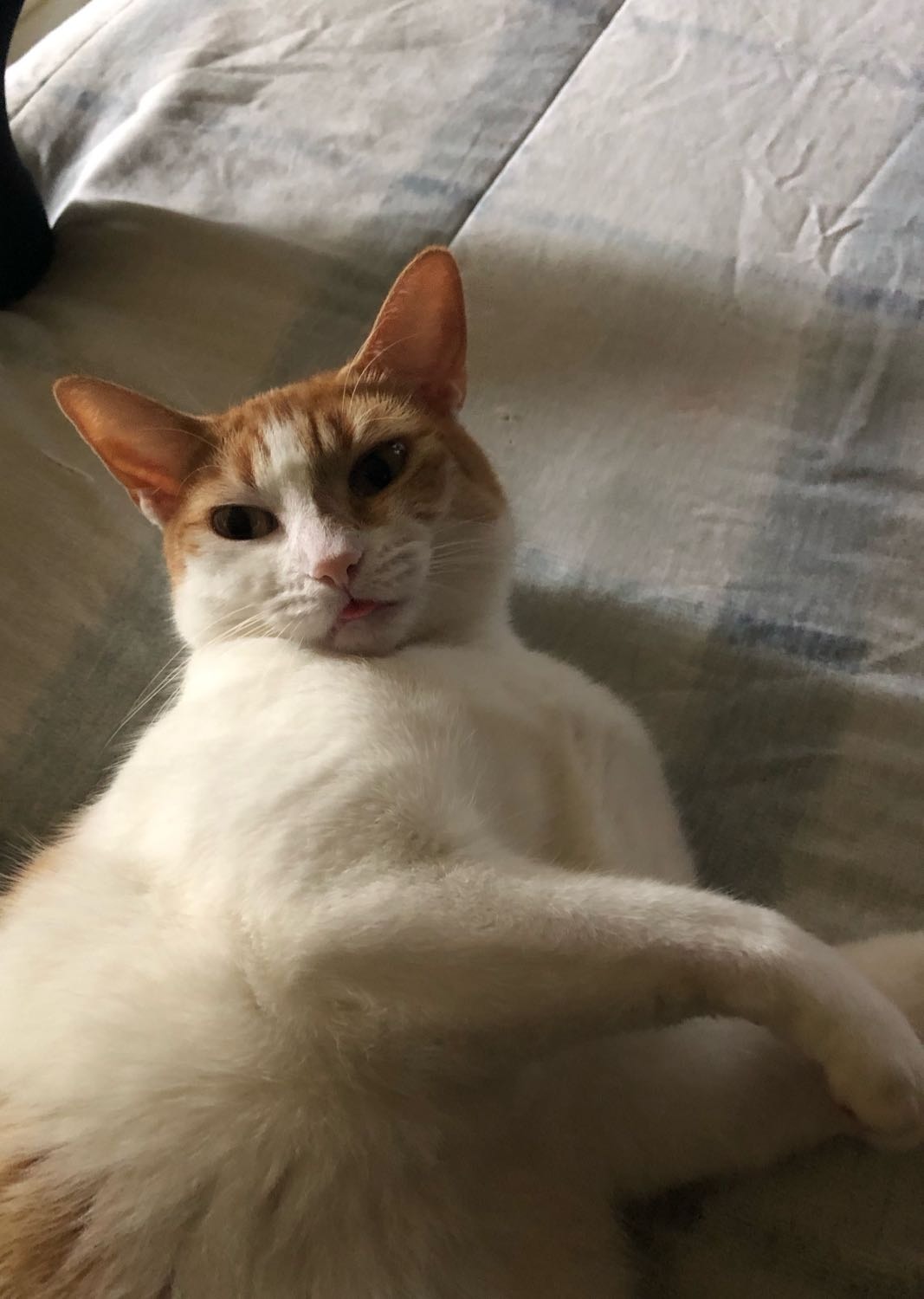 image-6
