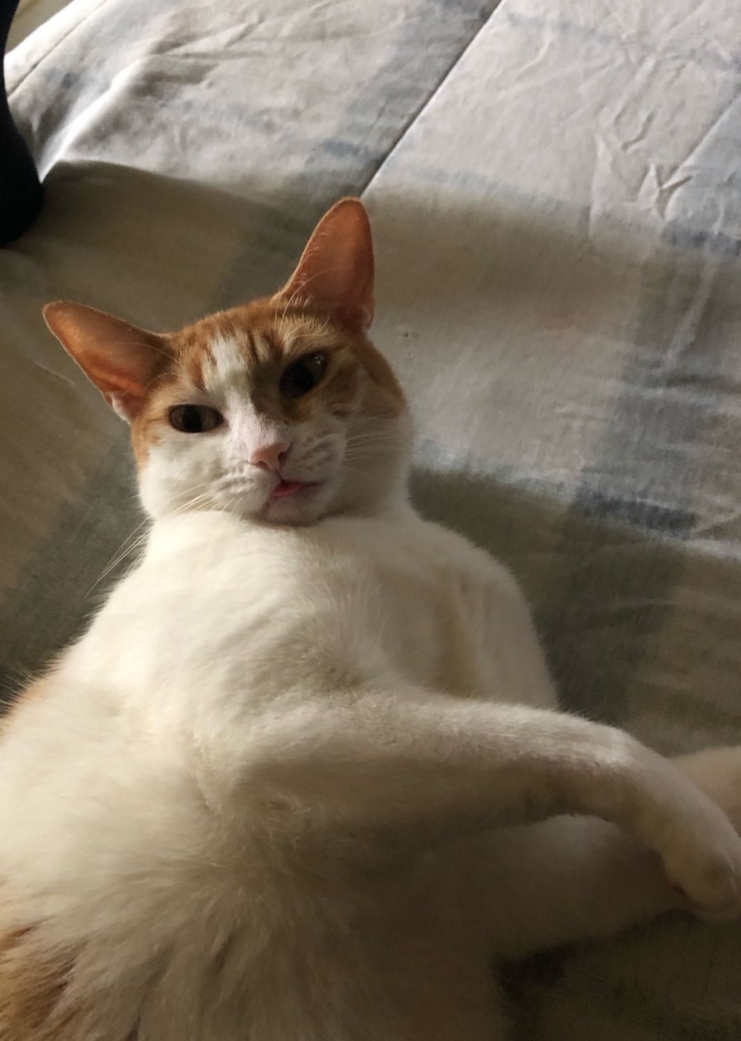 image-6
