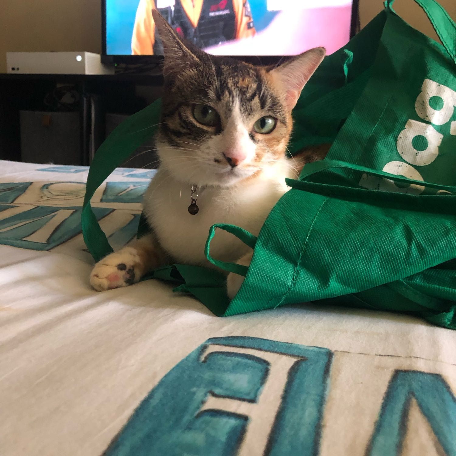 Pipsqueak