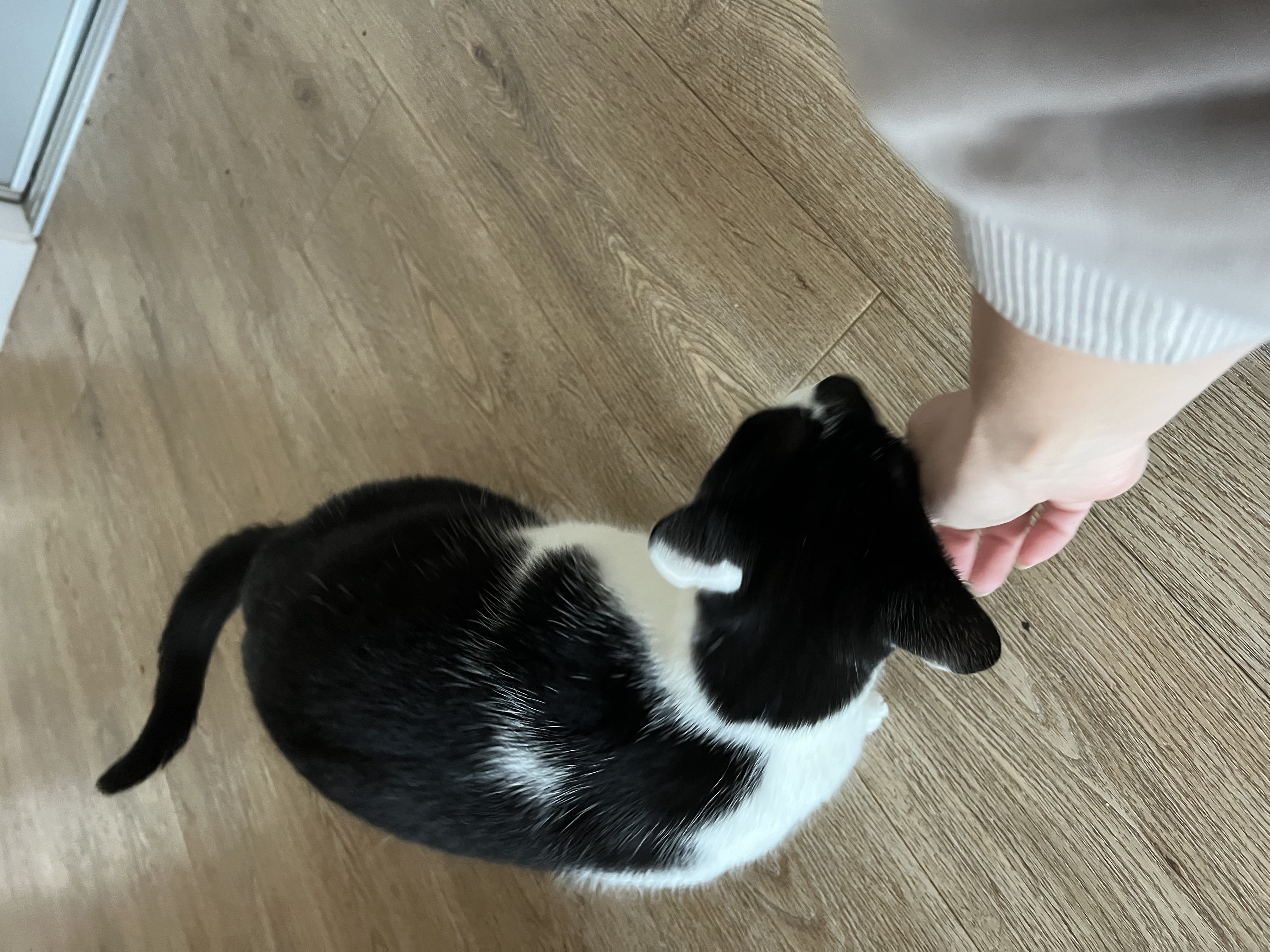 image-6
