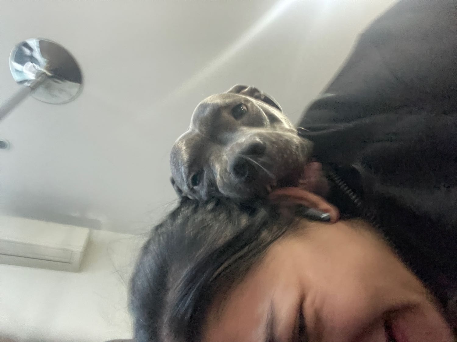 image-6