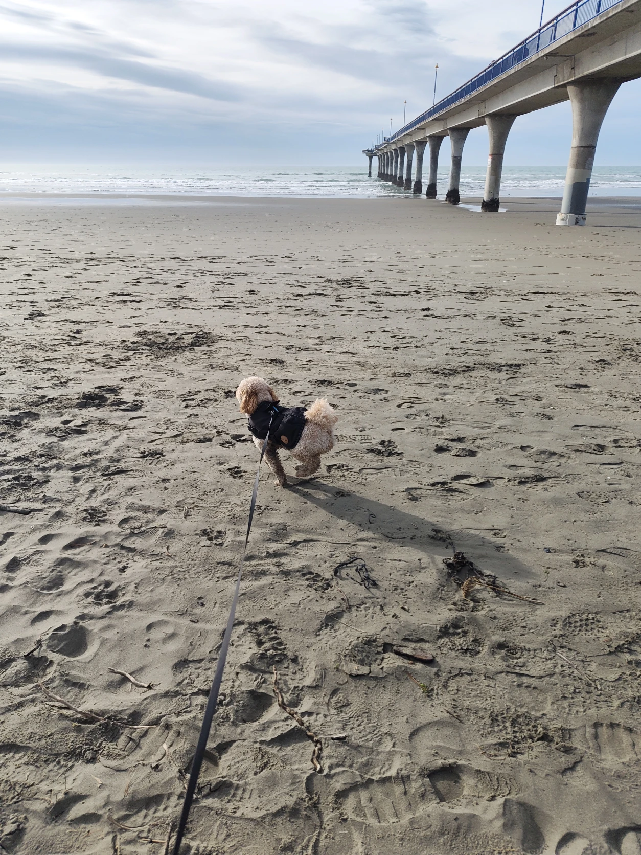 image-34