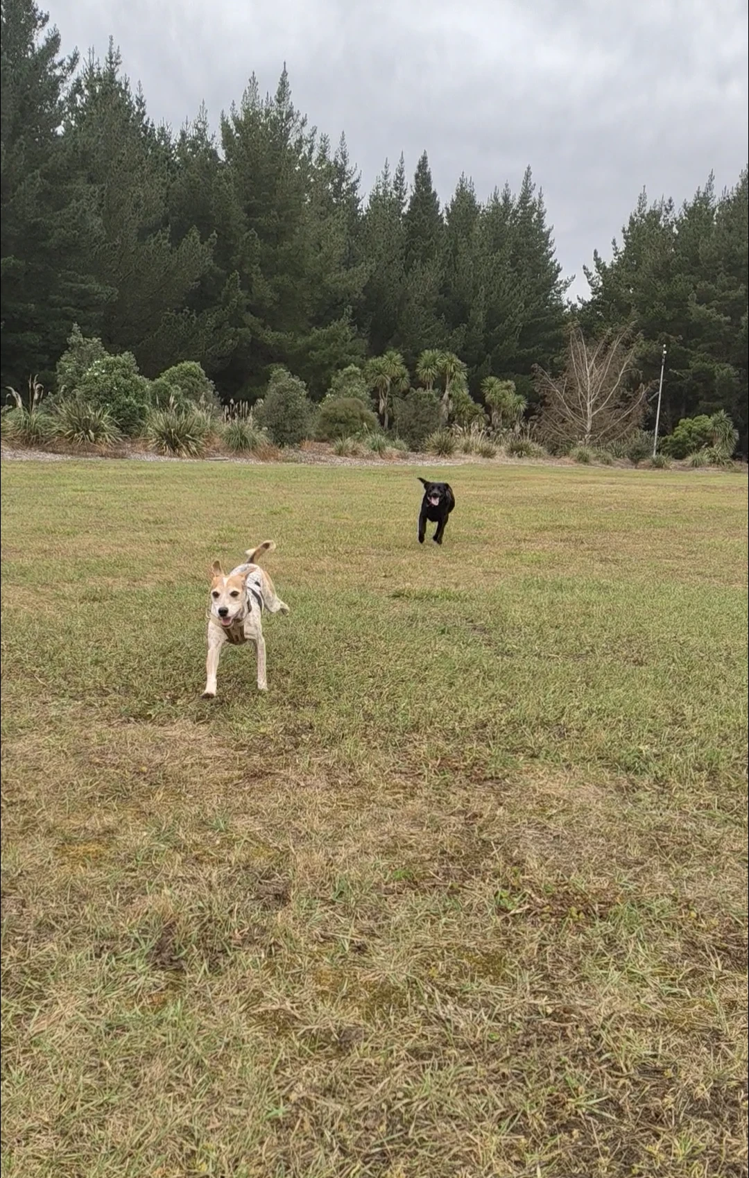 image-9