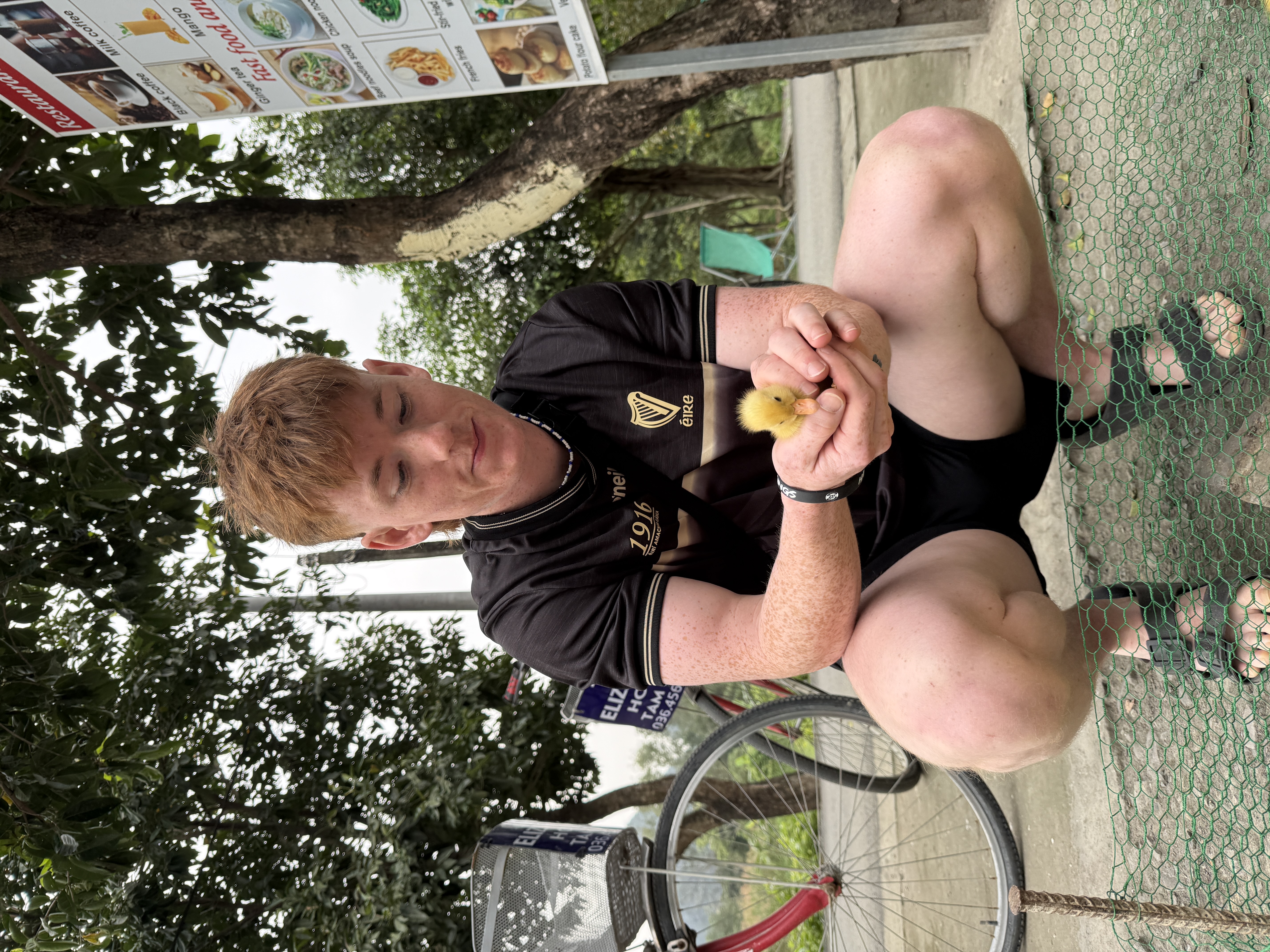 image-5