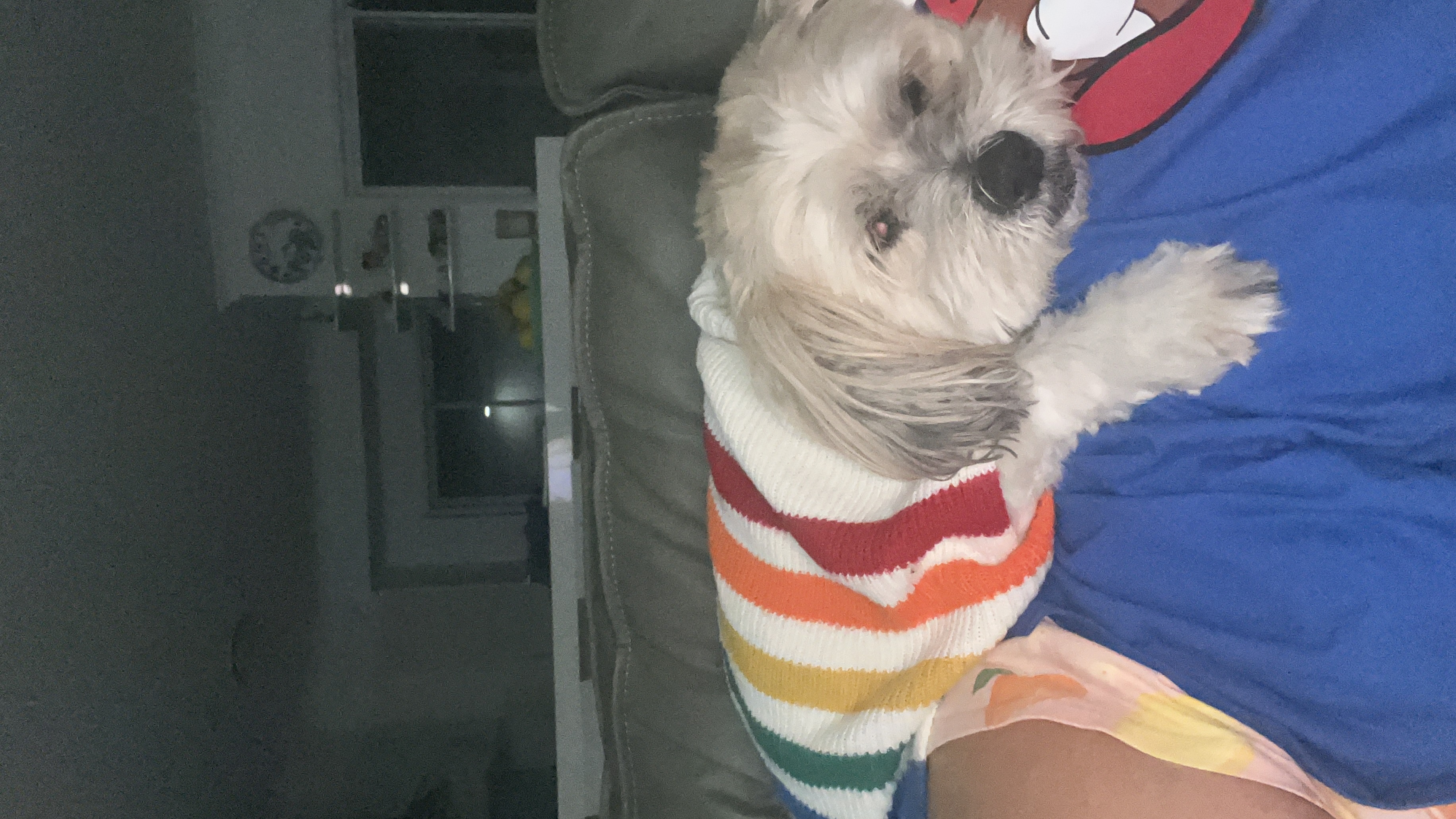 image-7