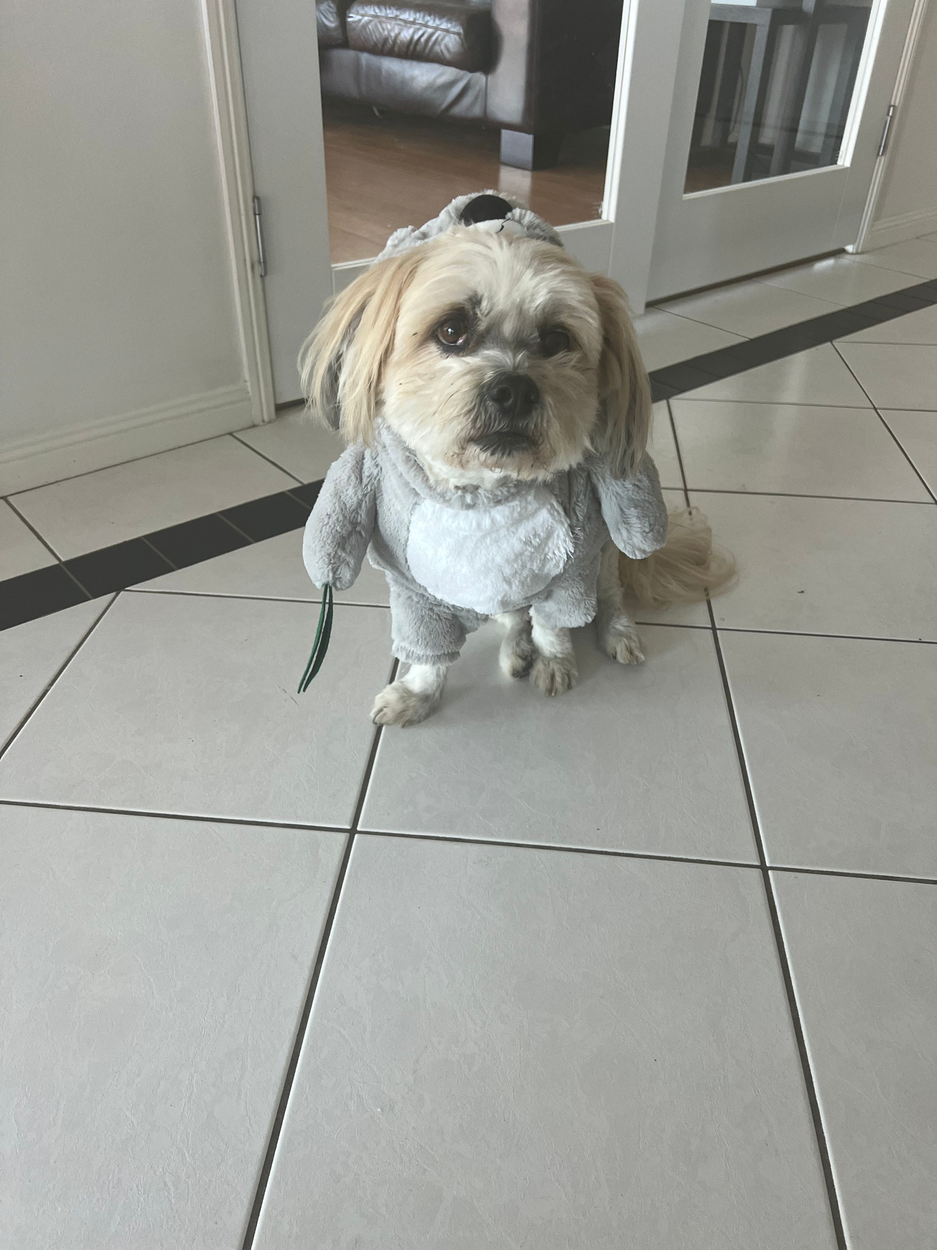 image-9