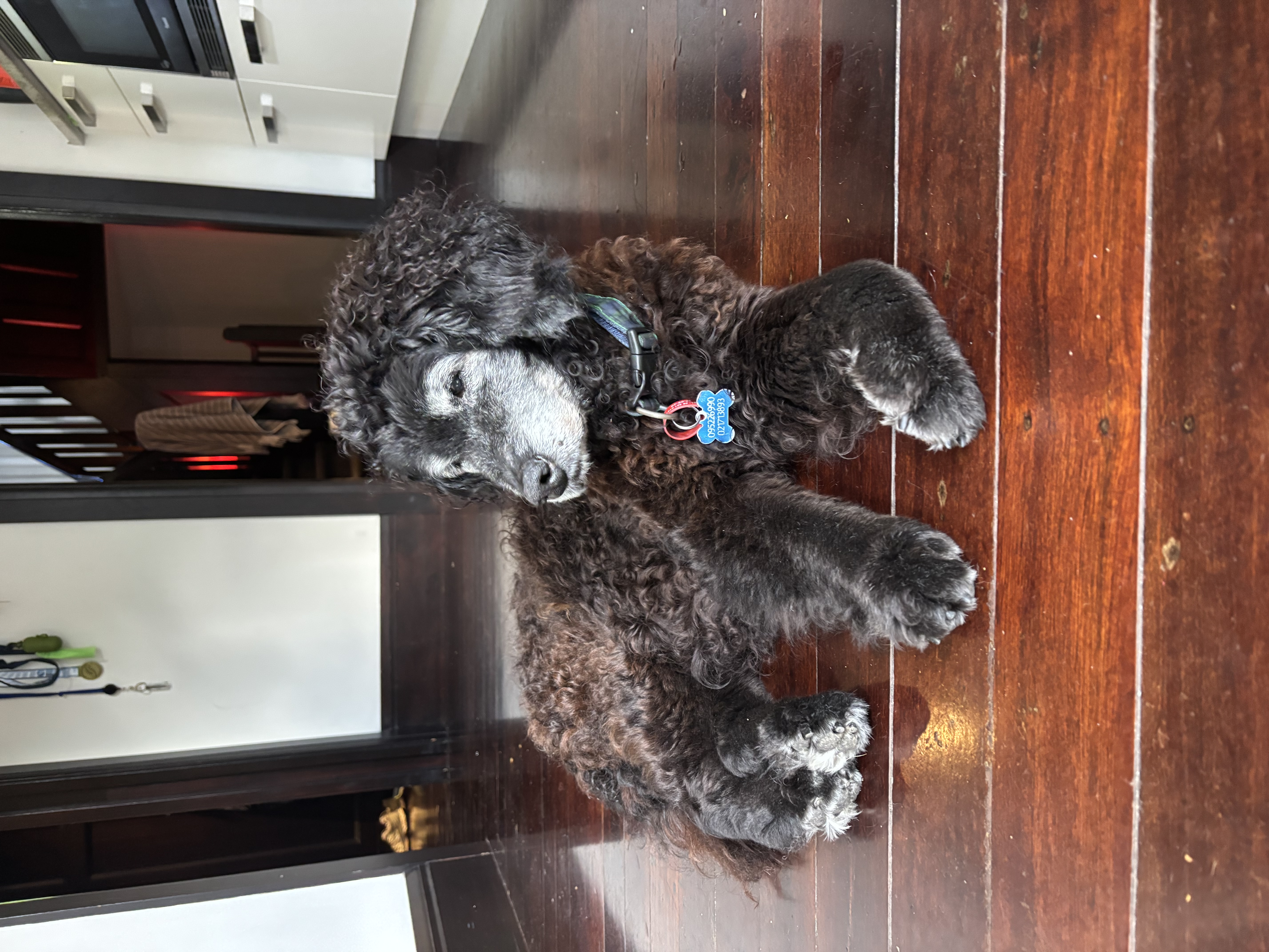 image-6