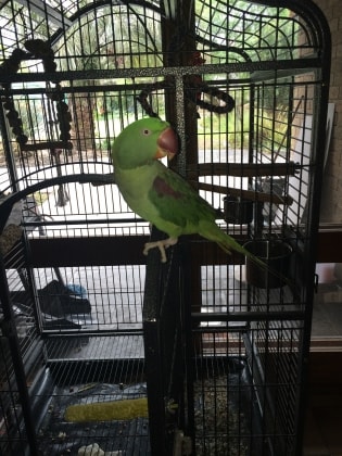 image-5