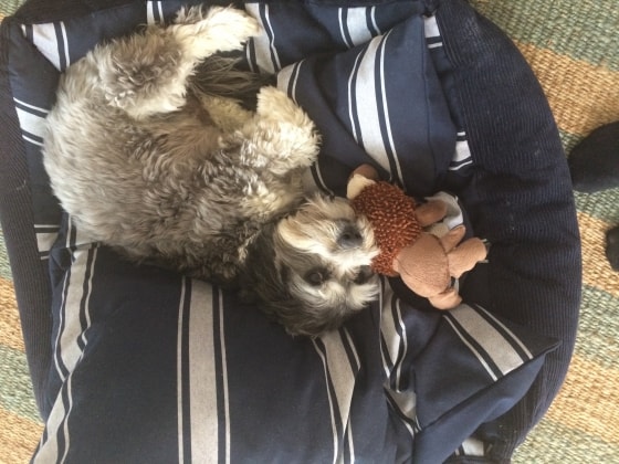 image-7