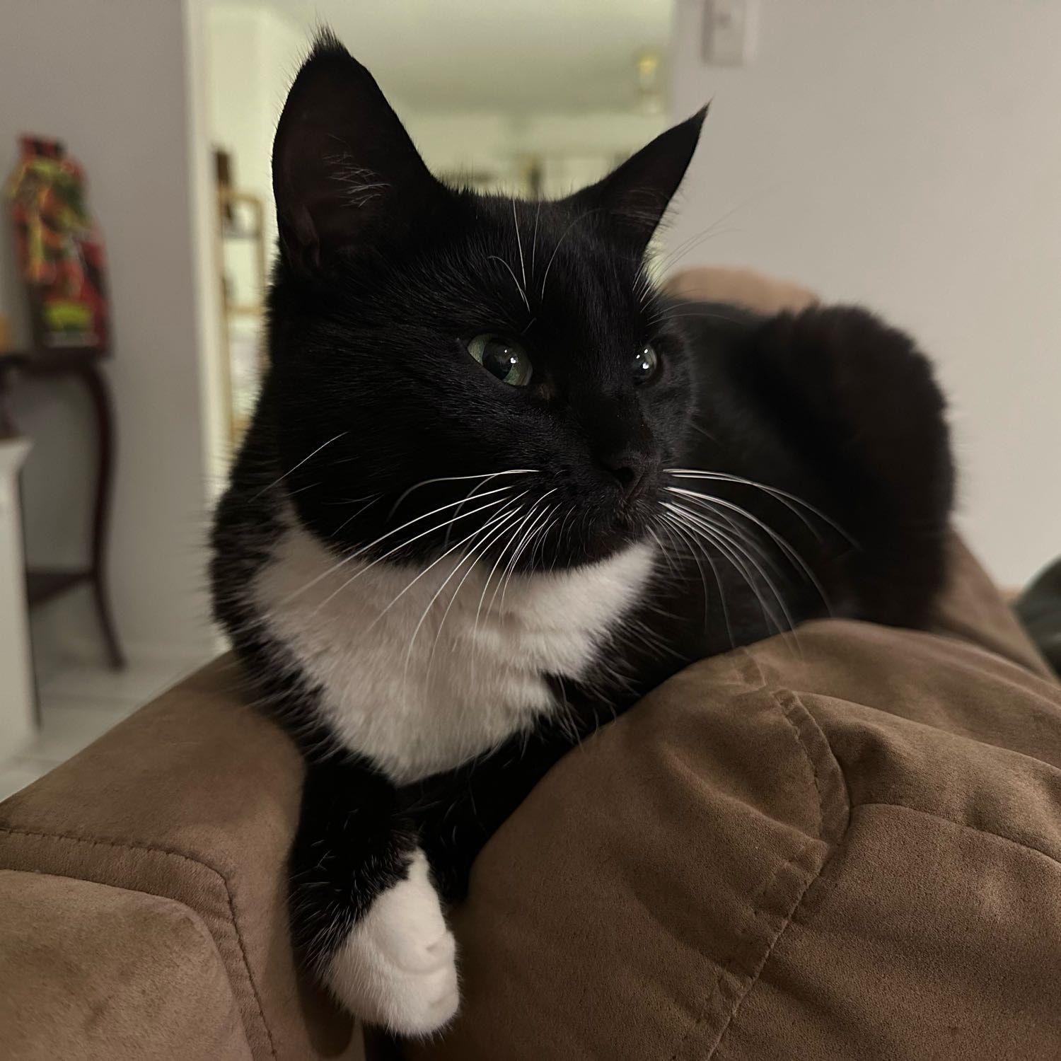 Luna