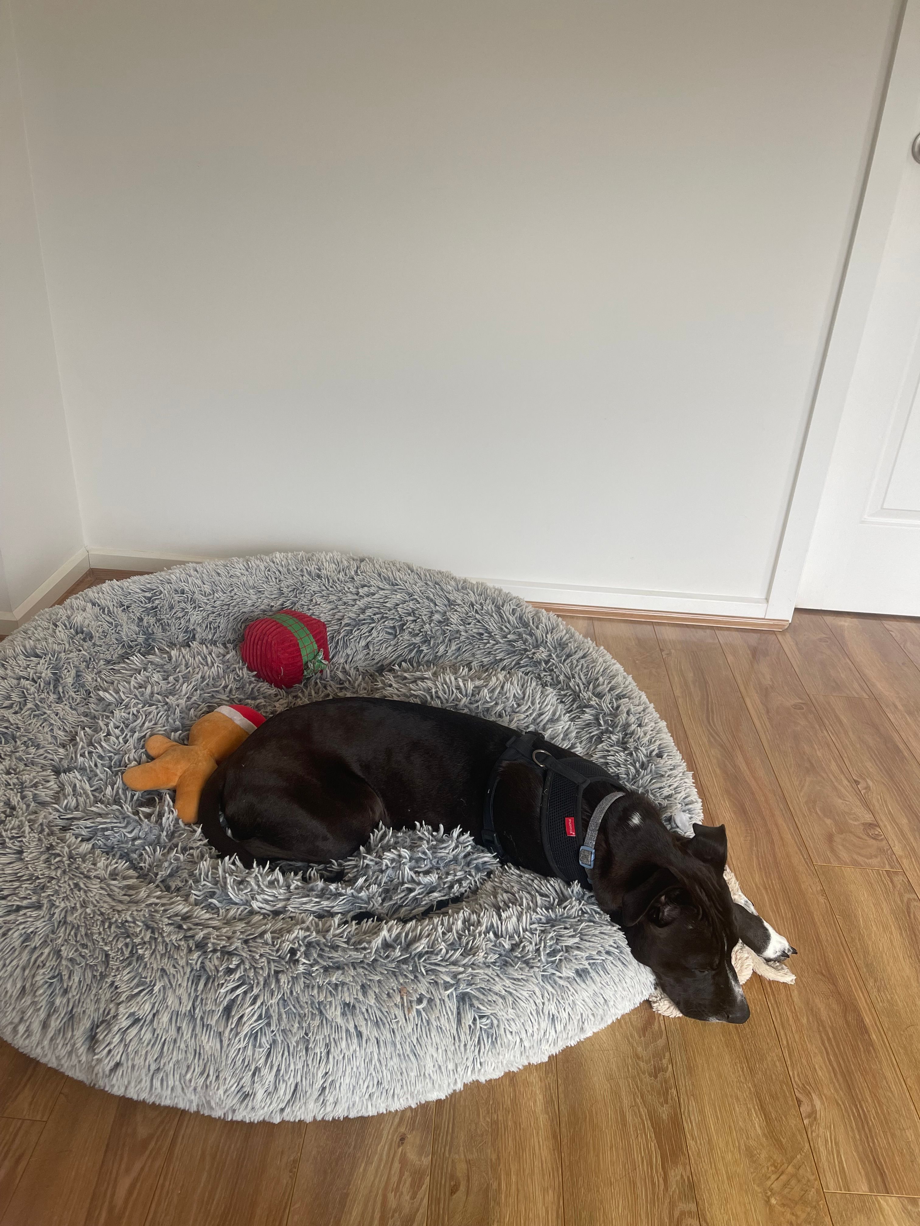 image-7