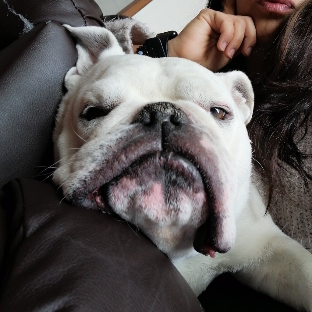 Pancho