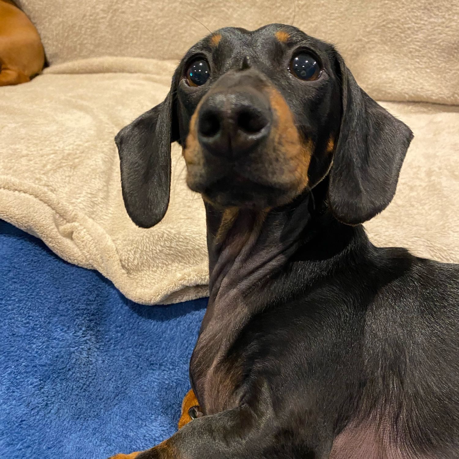 Maggie 