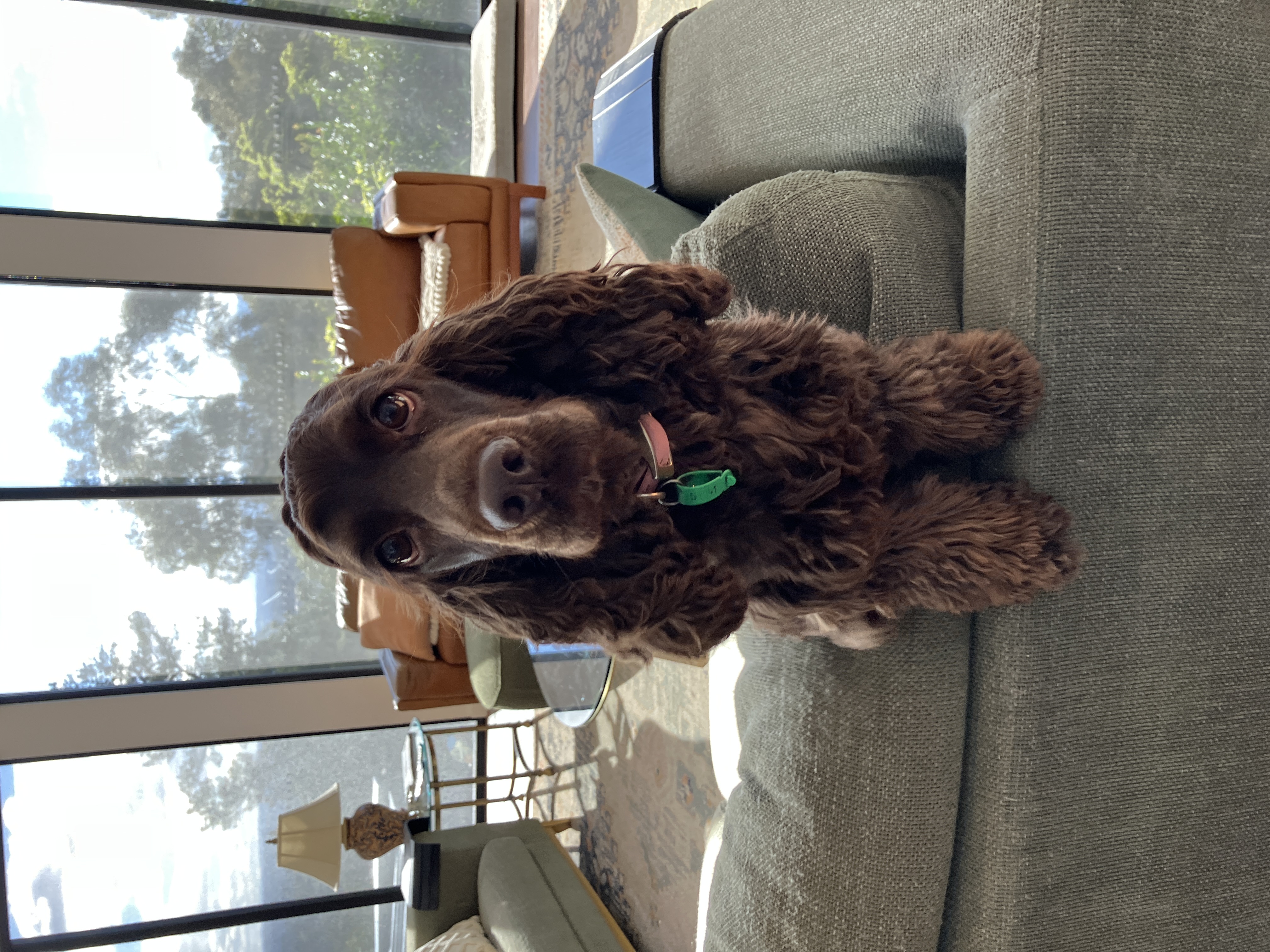 image-18