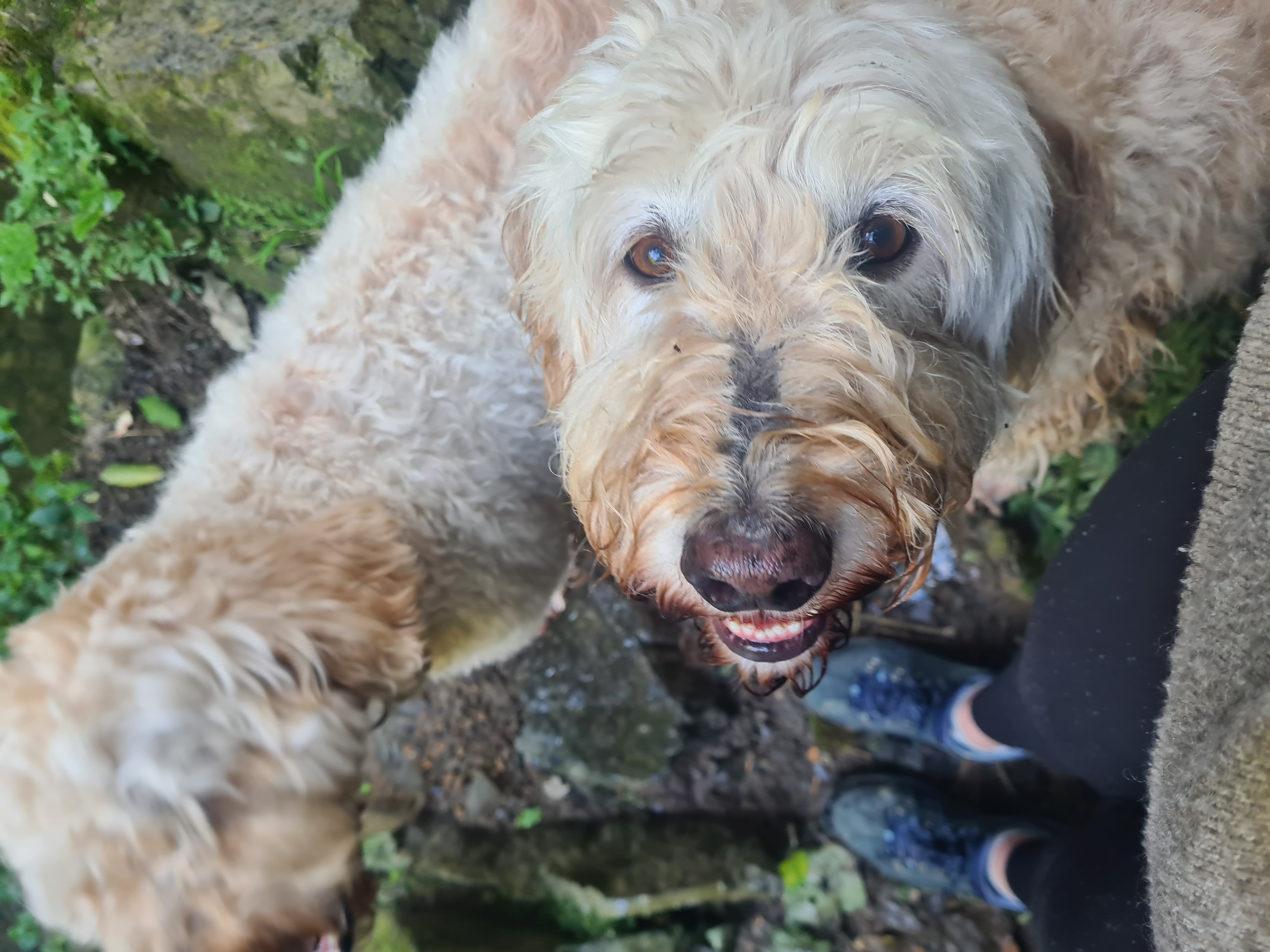 image-0