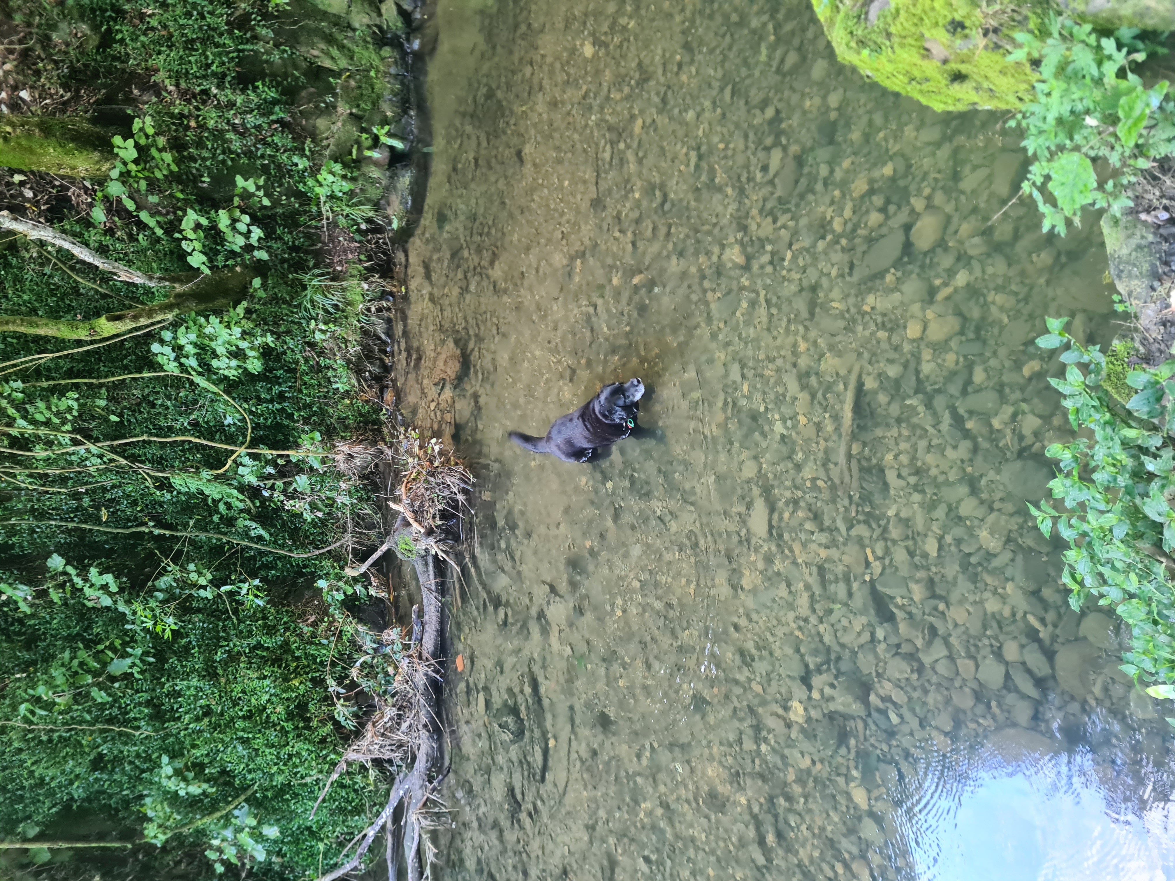 image-7