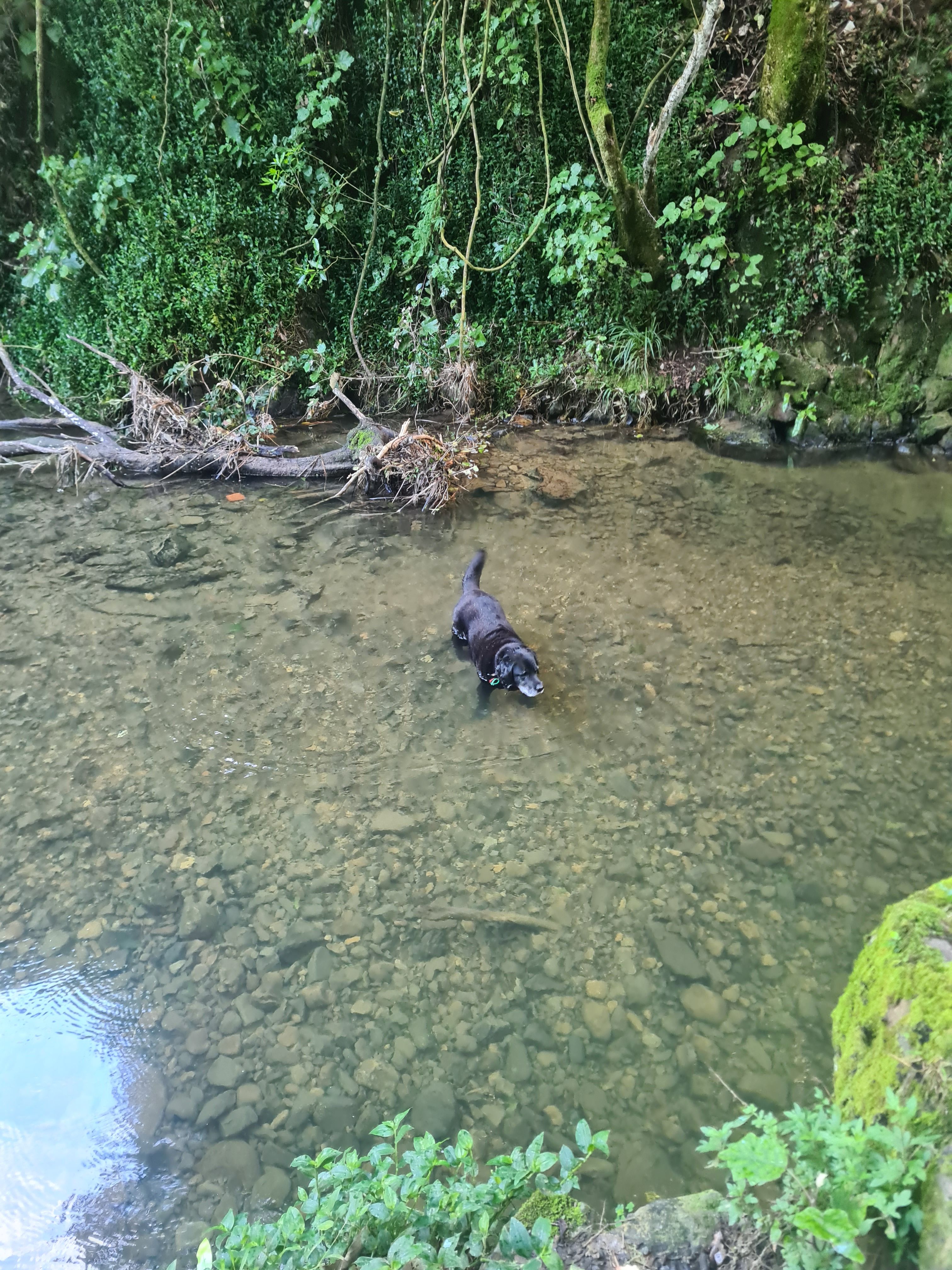 image-7