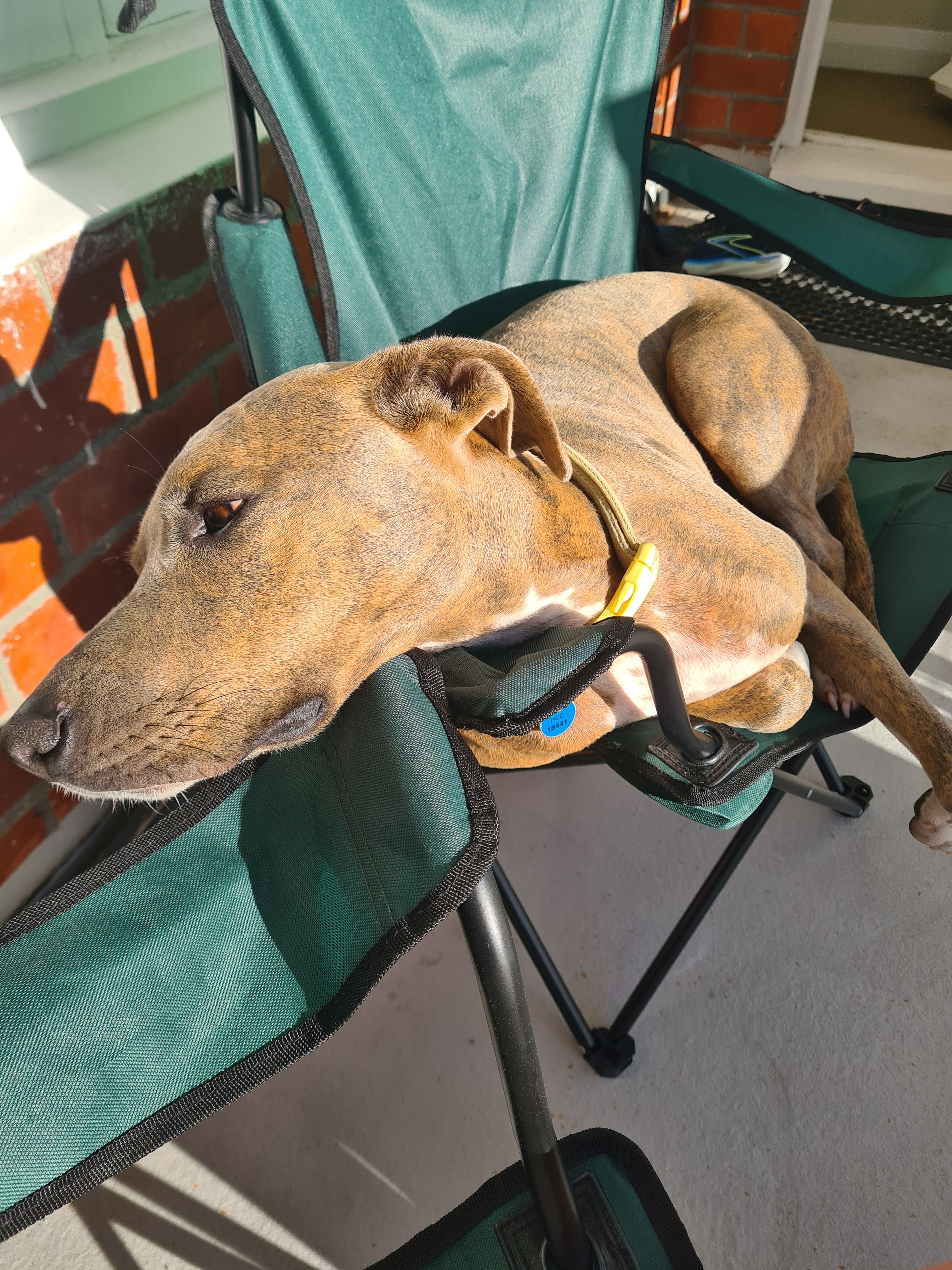 image-8