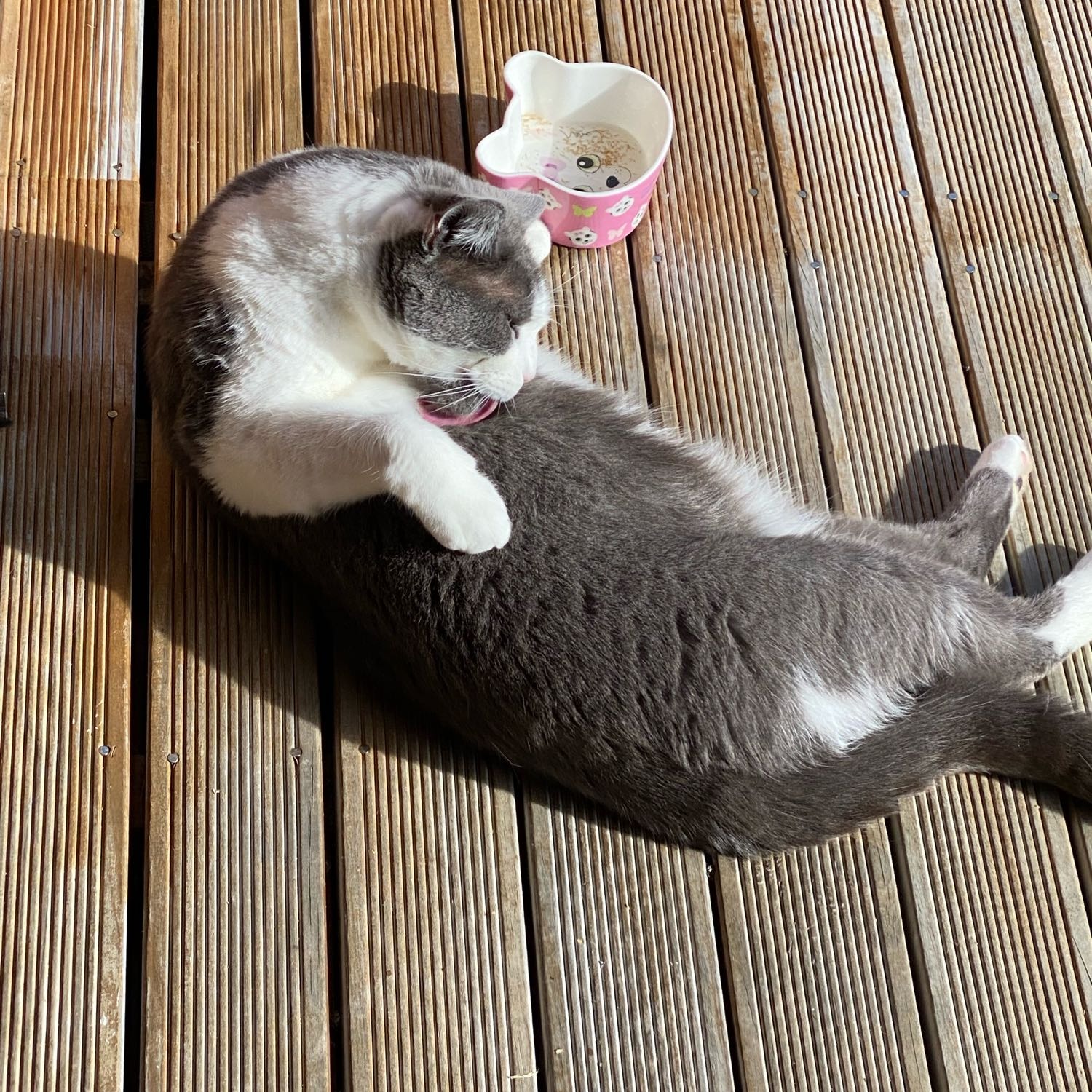 Oli