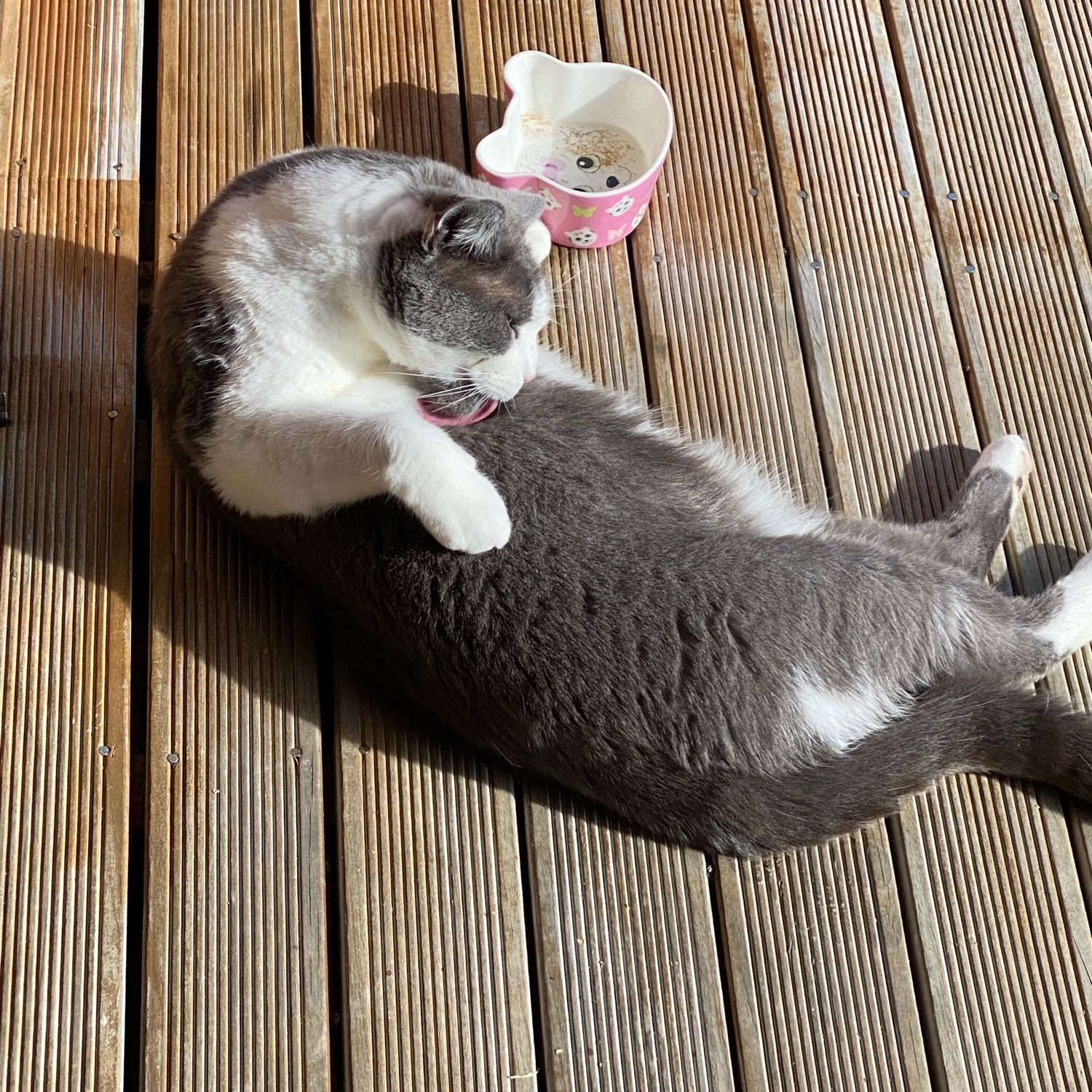Oli