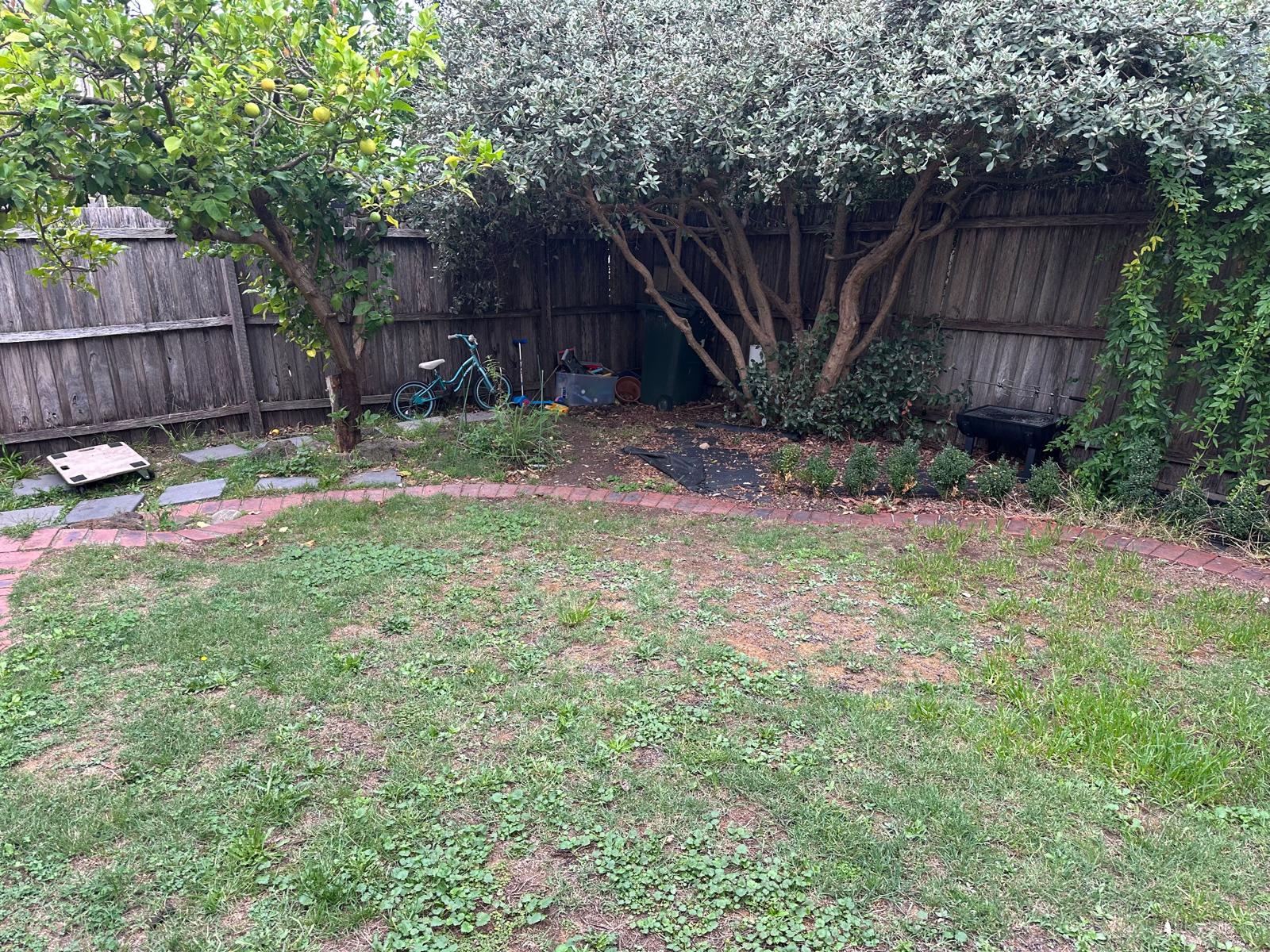 image-5
