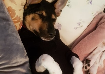 Luna