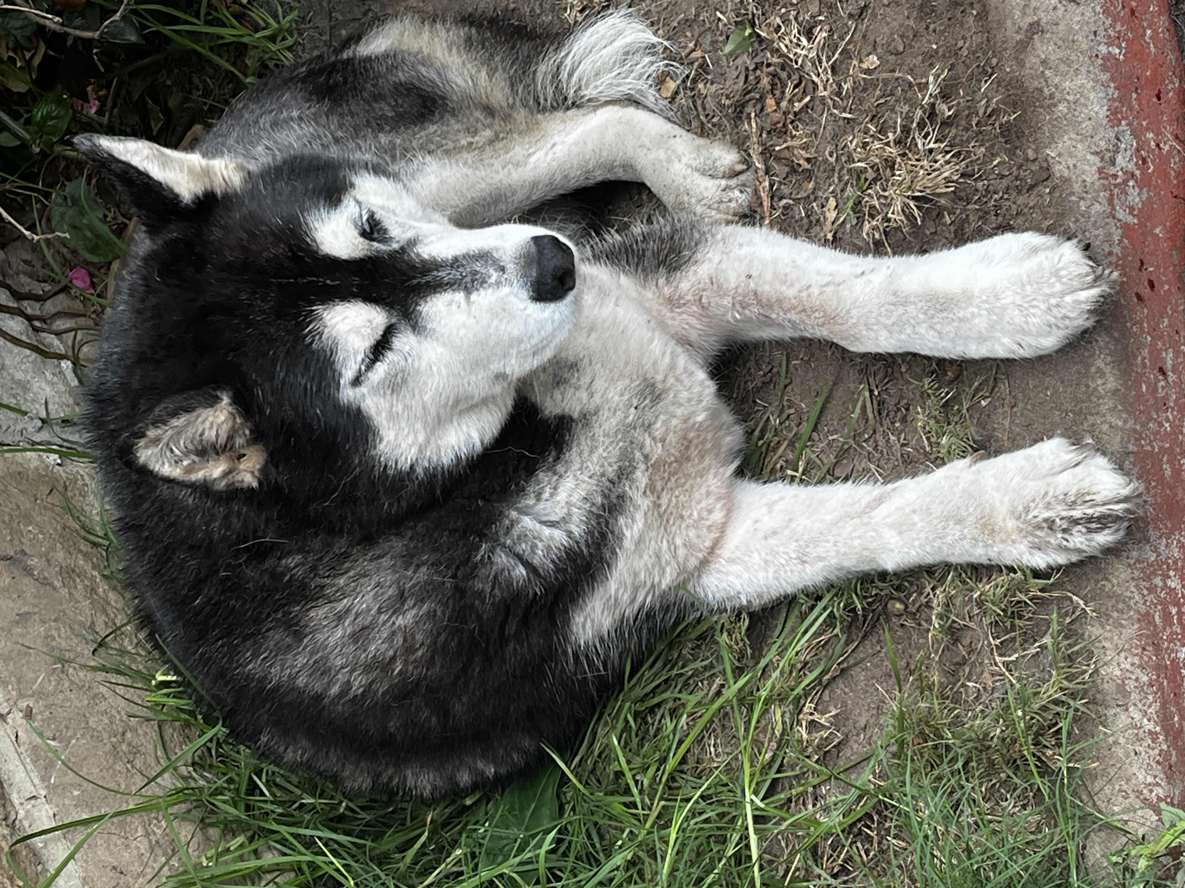 image-6