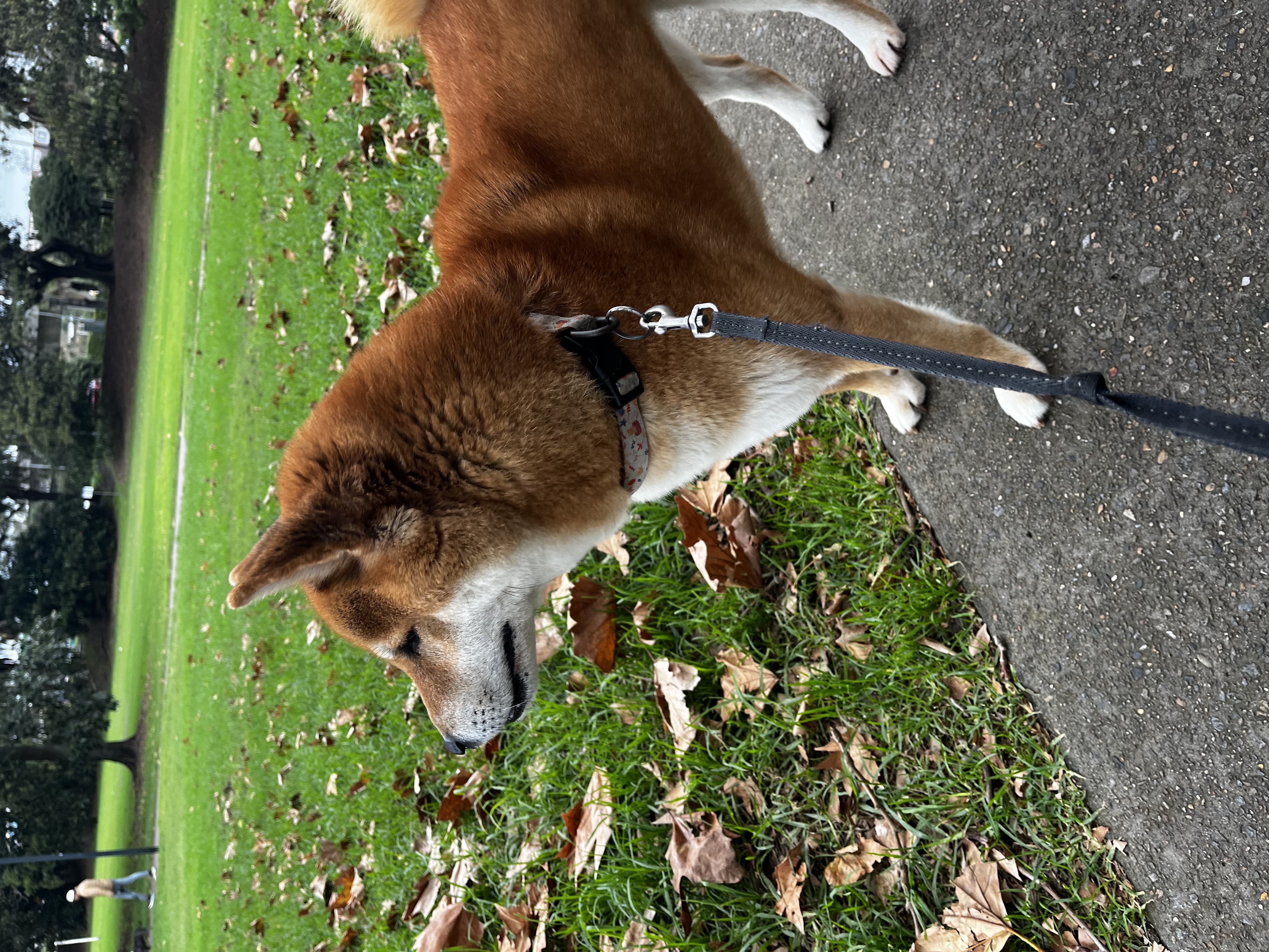 image-5