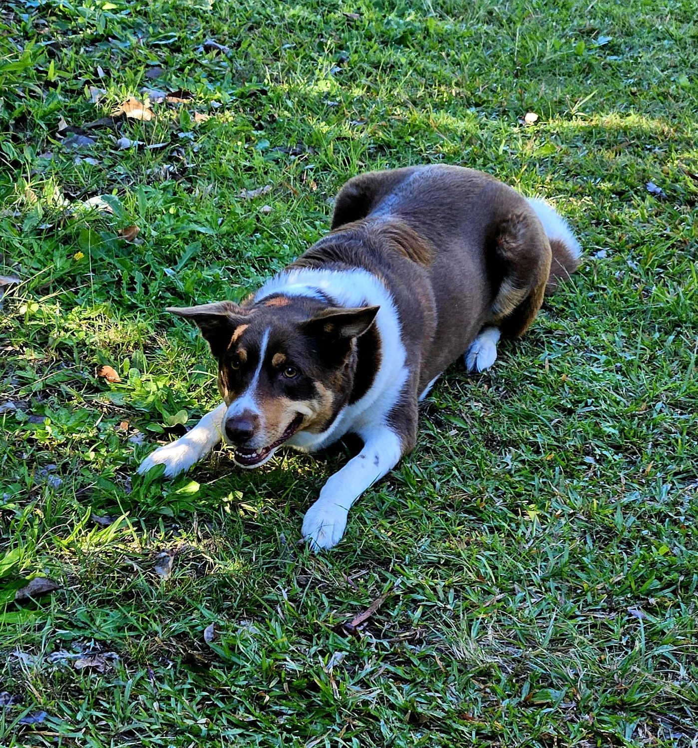 image-22