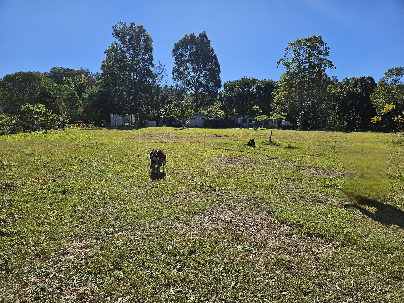 image-19