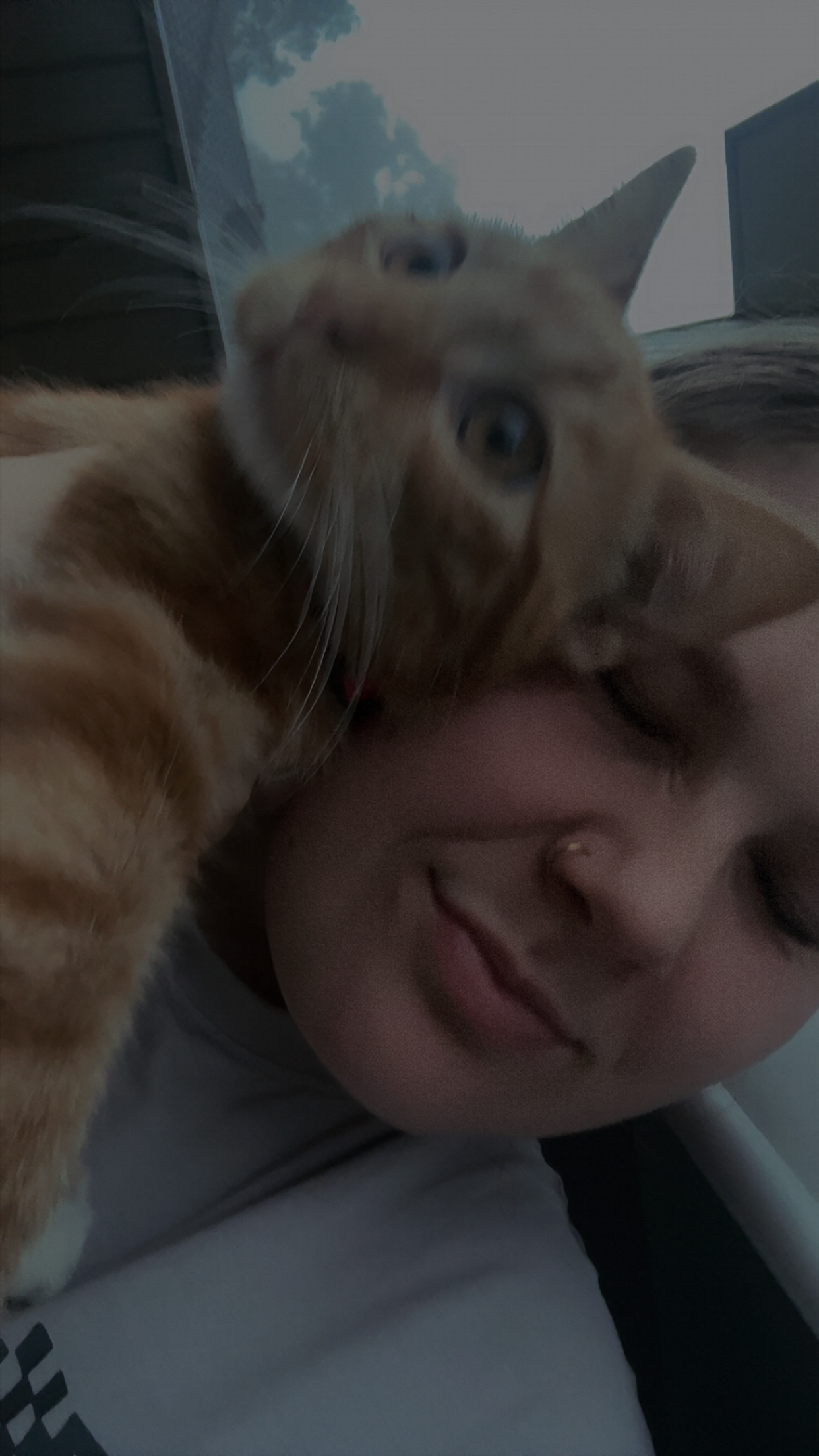 image-8