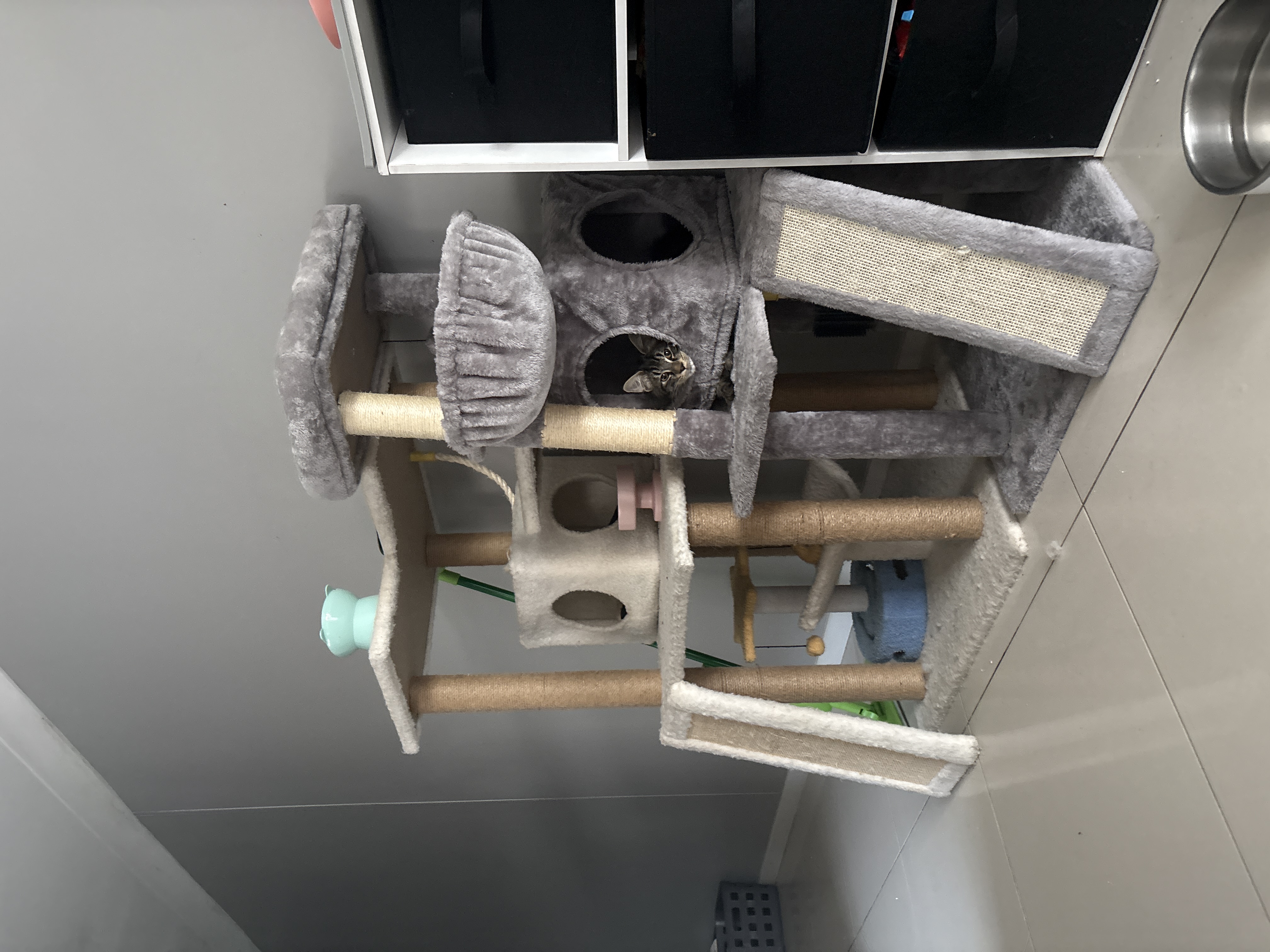 image-11