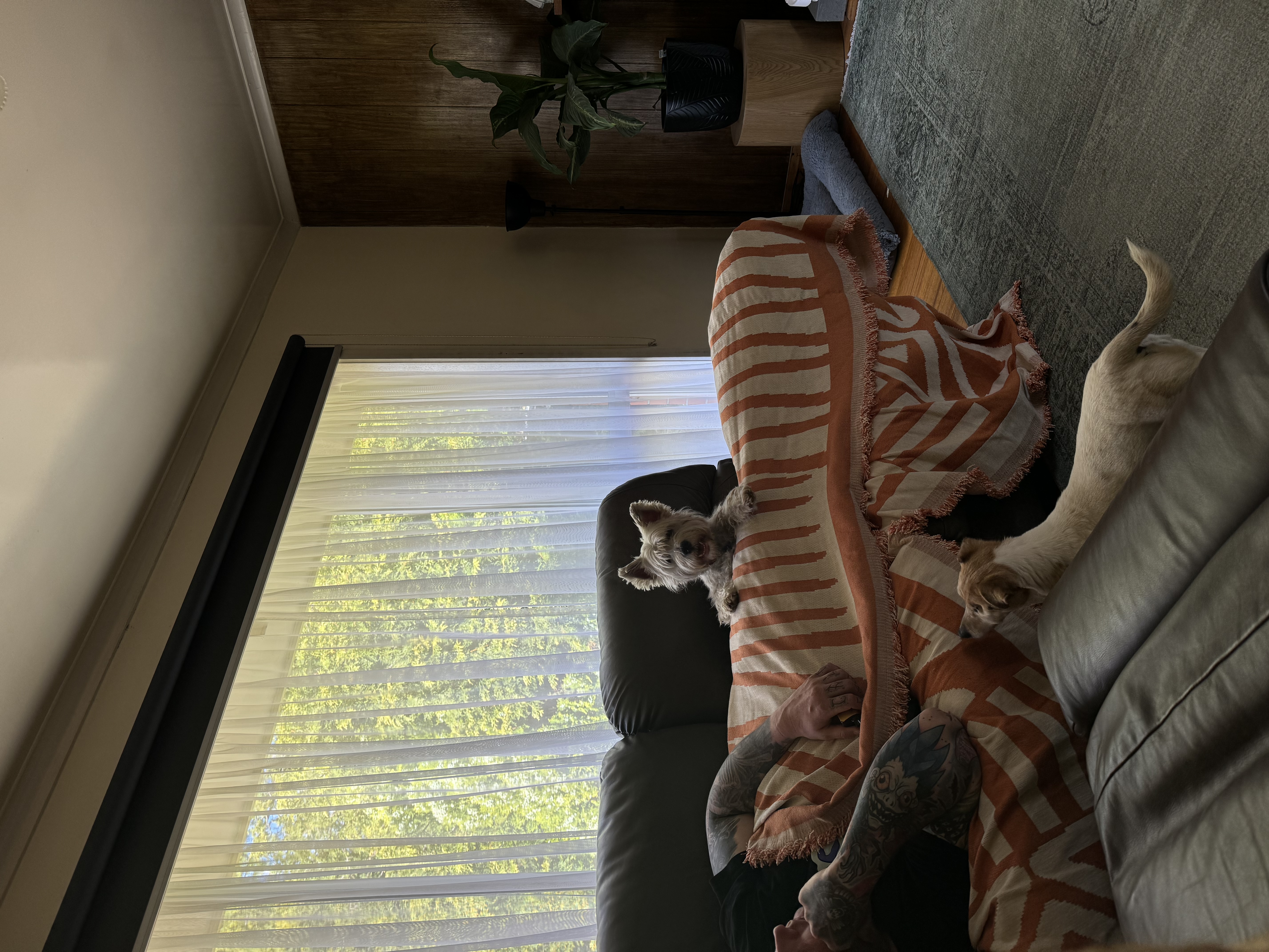 image-12