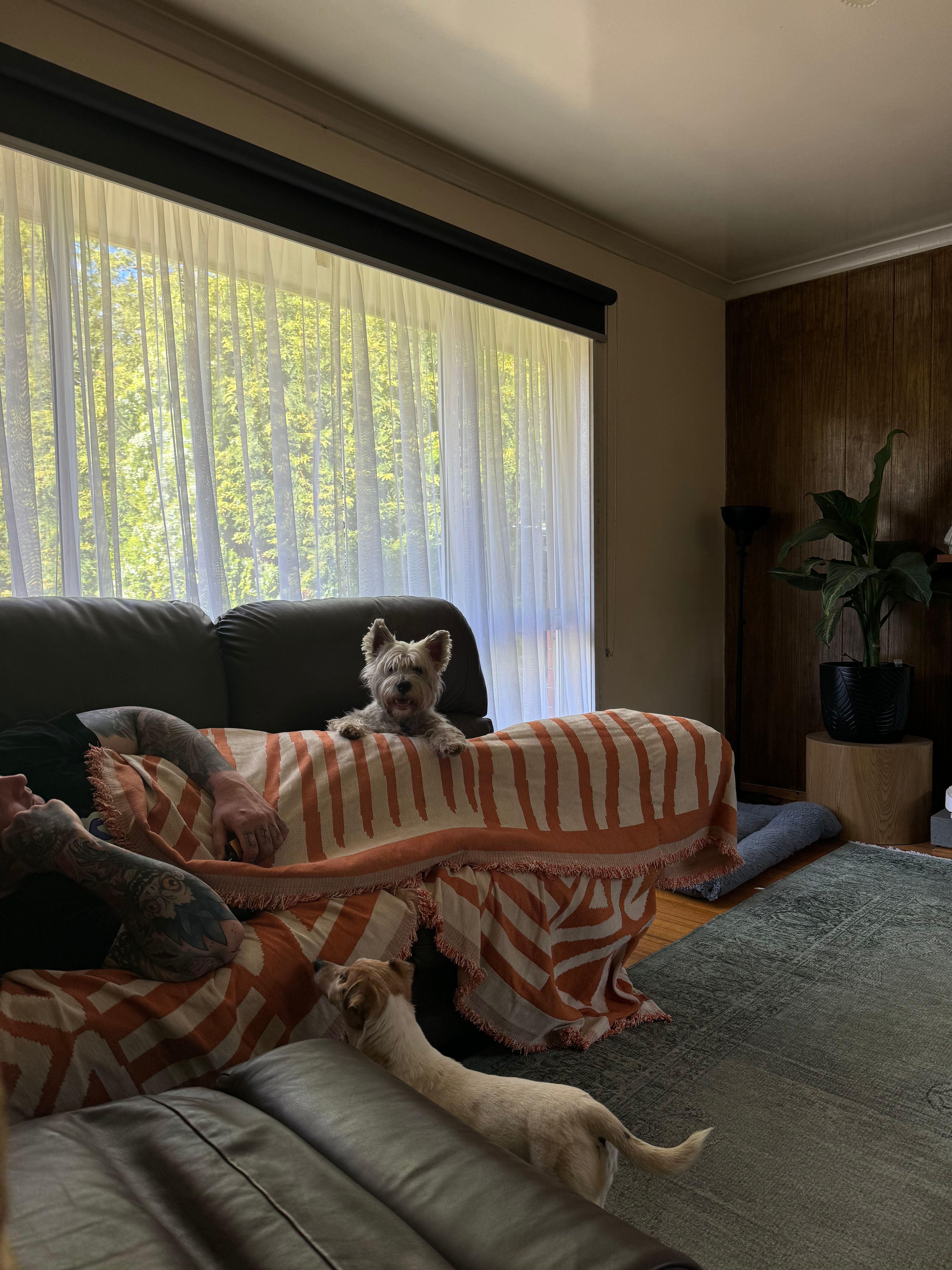 image-12