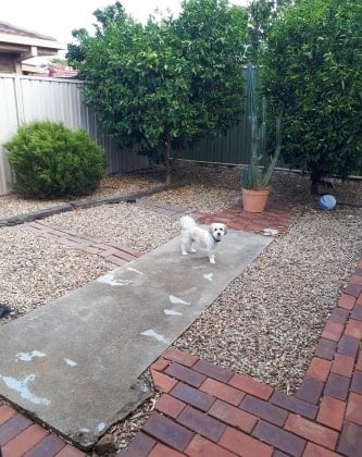 image-3