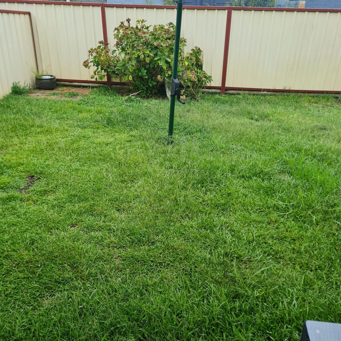 image-15