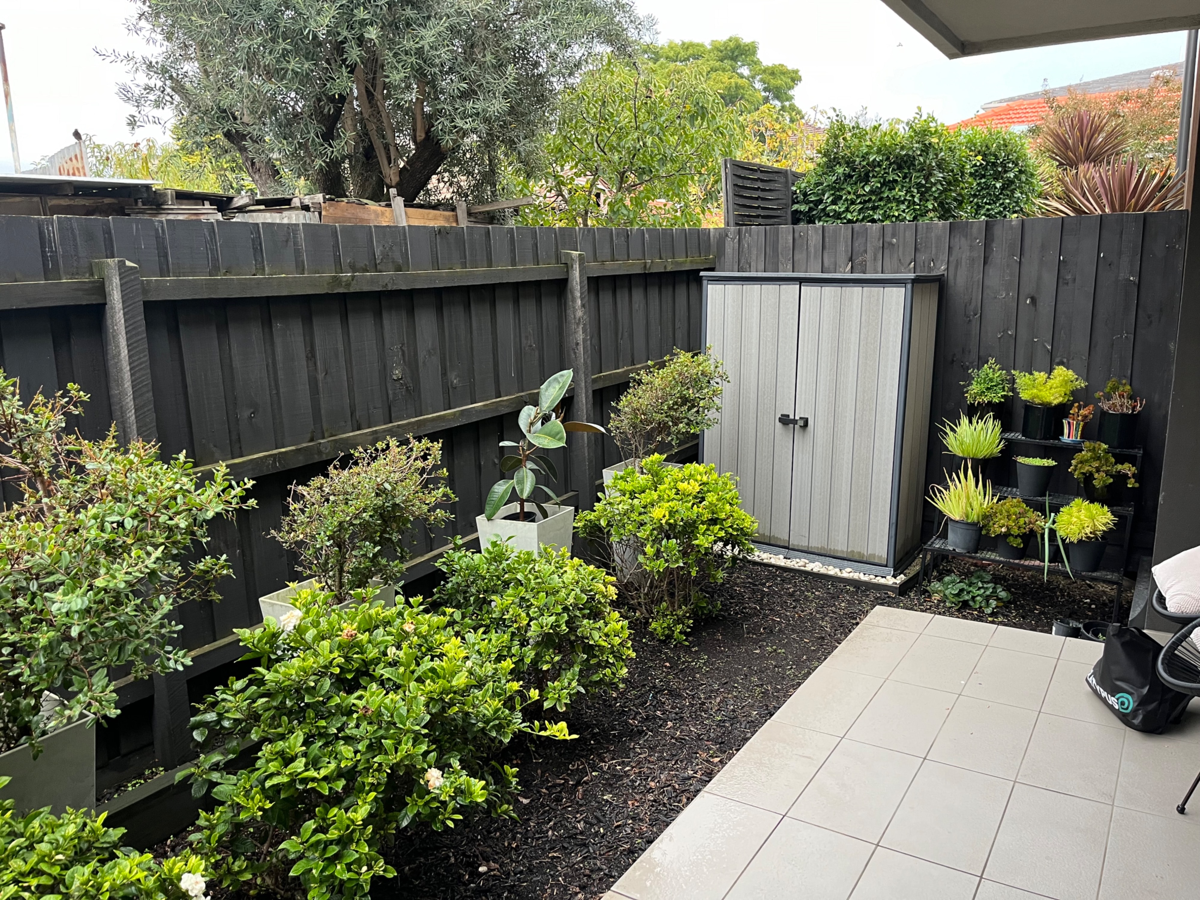 image-3