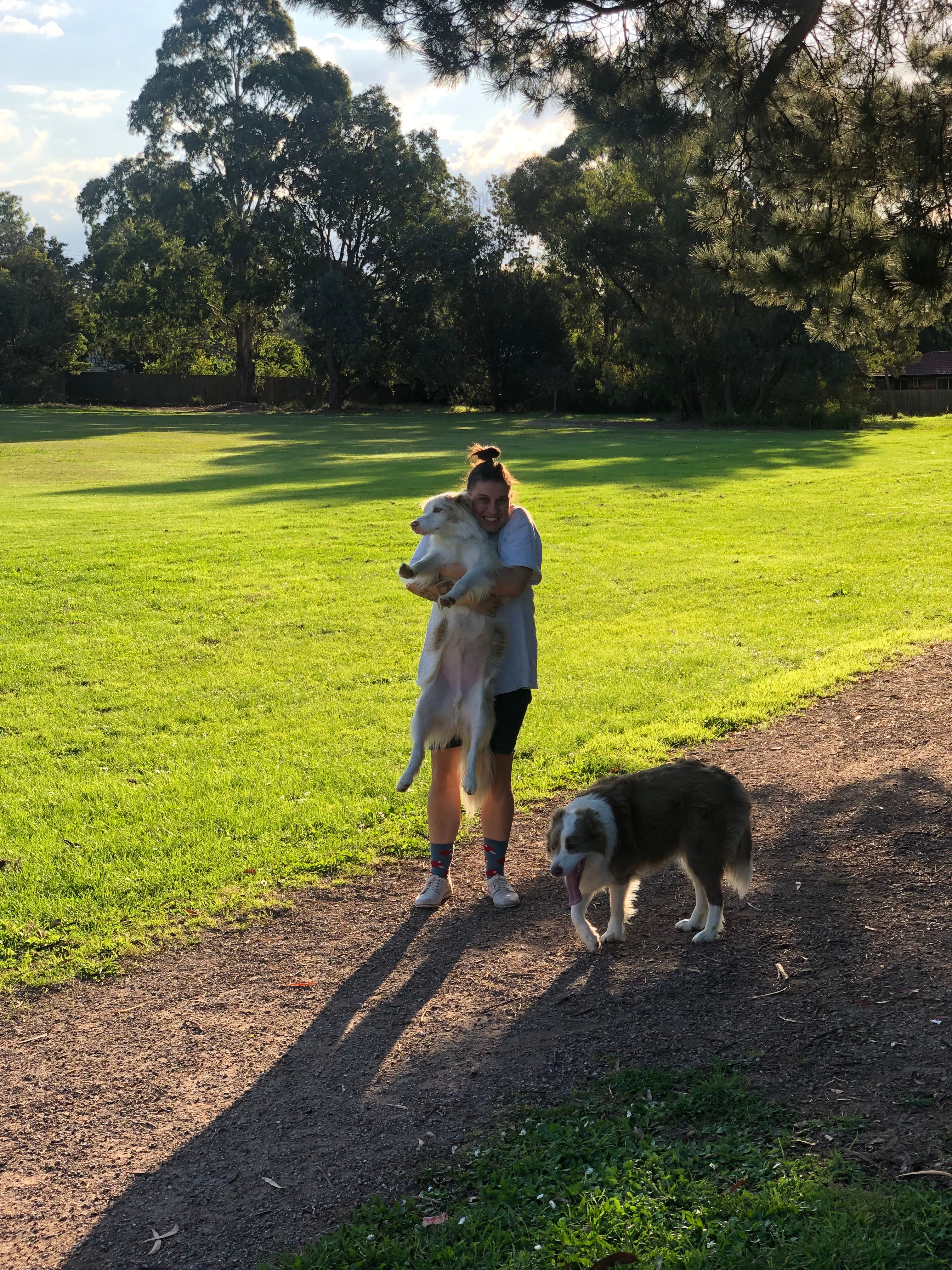 image-12