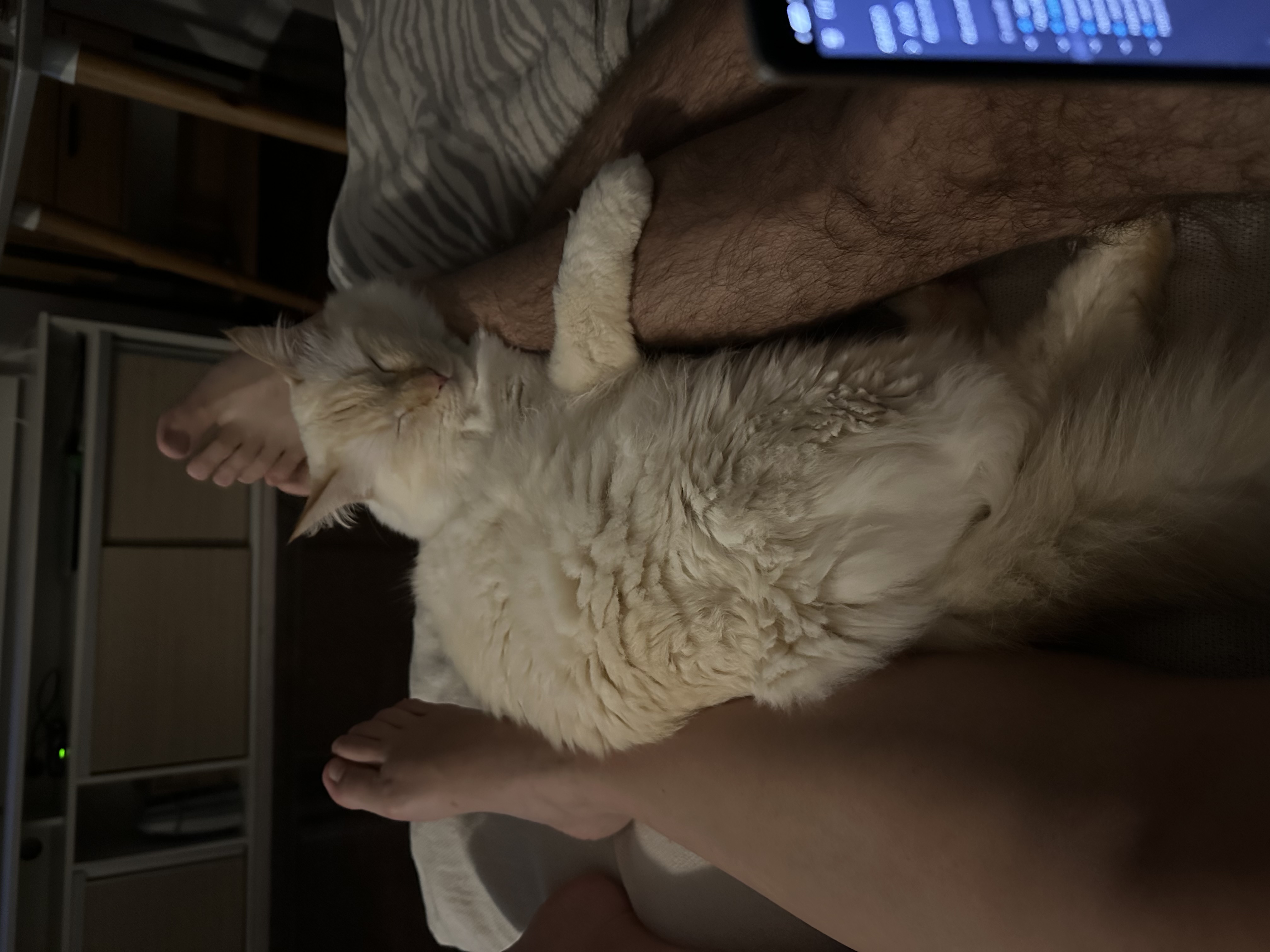 image-6