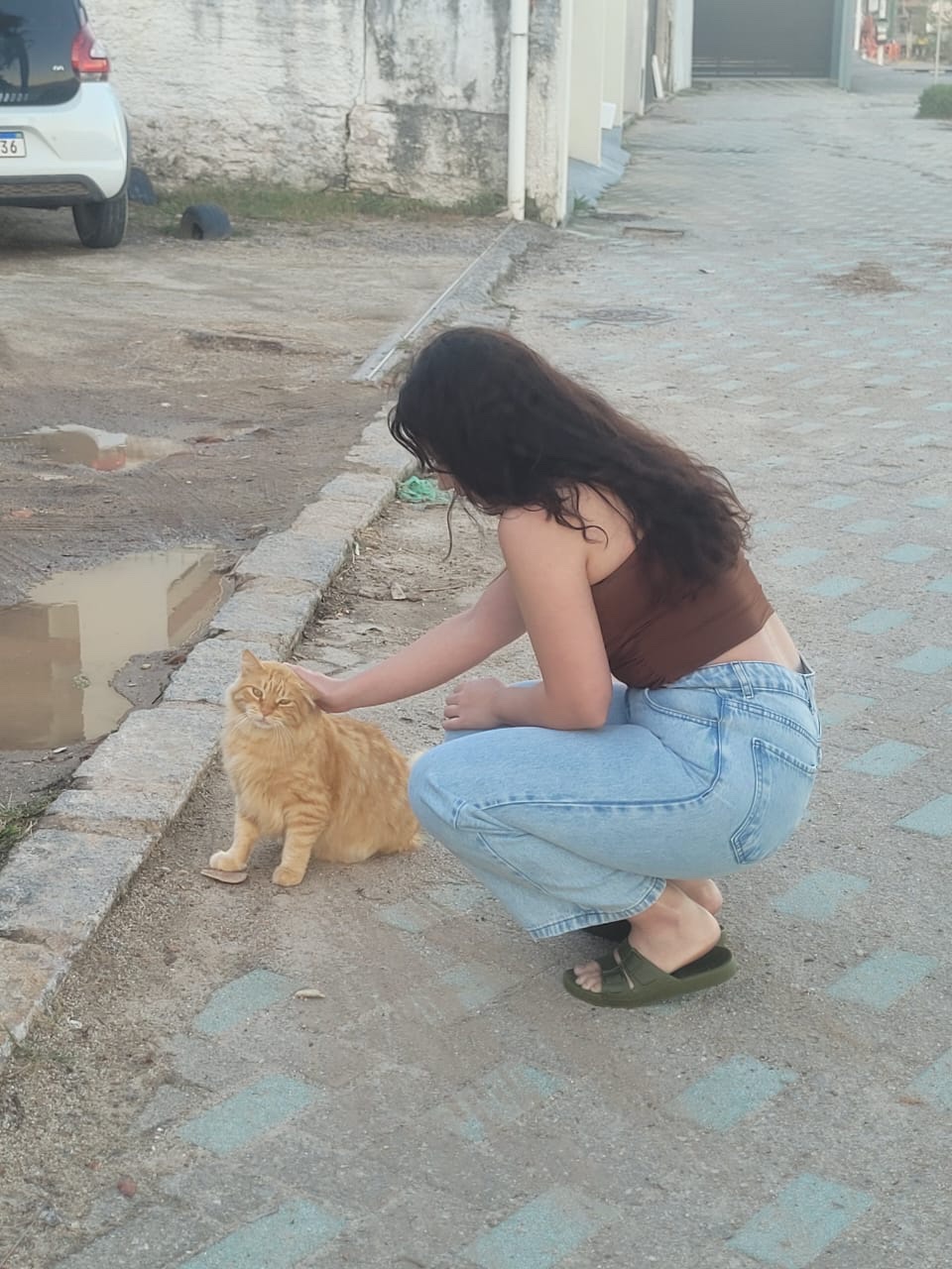 image-5