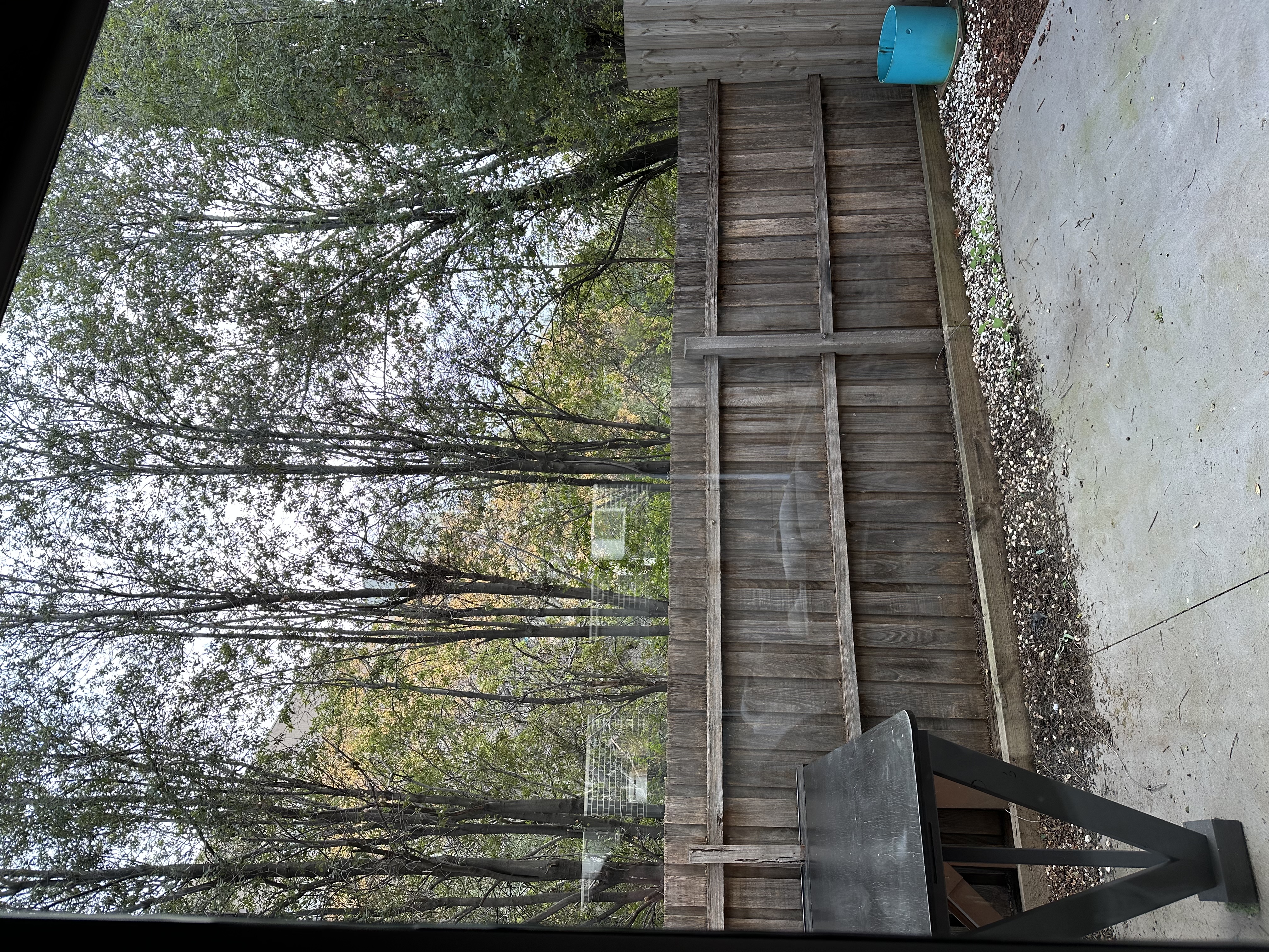 image-14