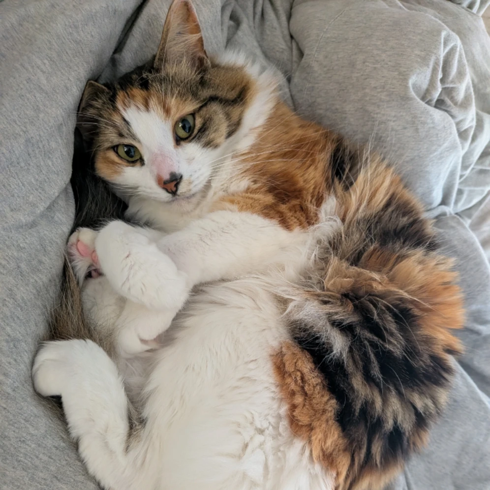 Kiki